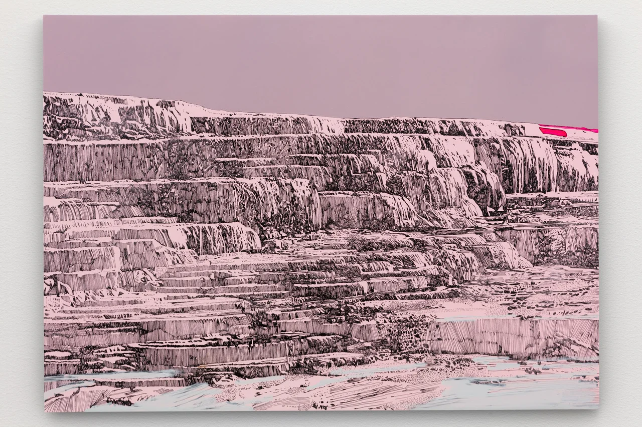 Whitney Bedford, Pink and White Terraces . 2018, Ink and oil on linen on panel, 30 x 42 in. Photo: Evan Bedford