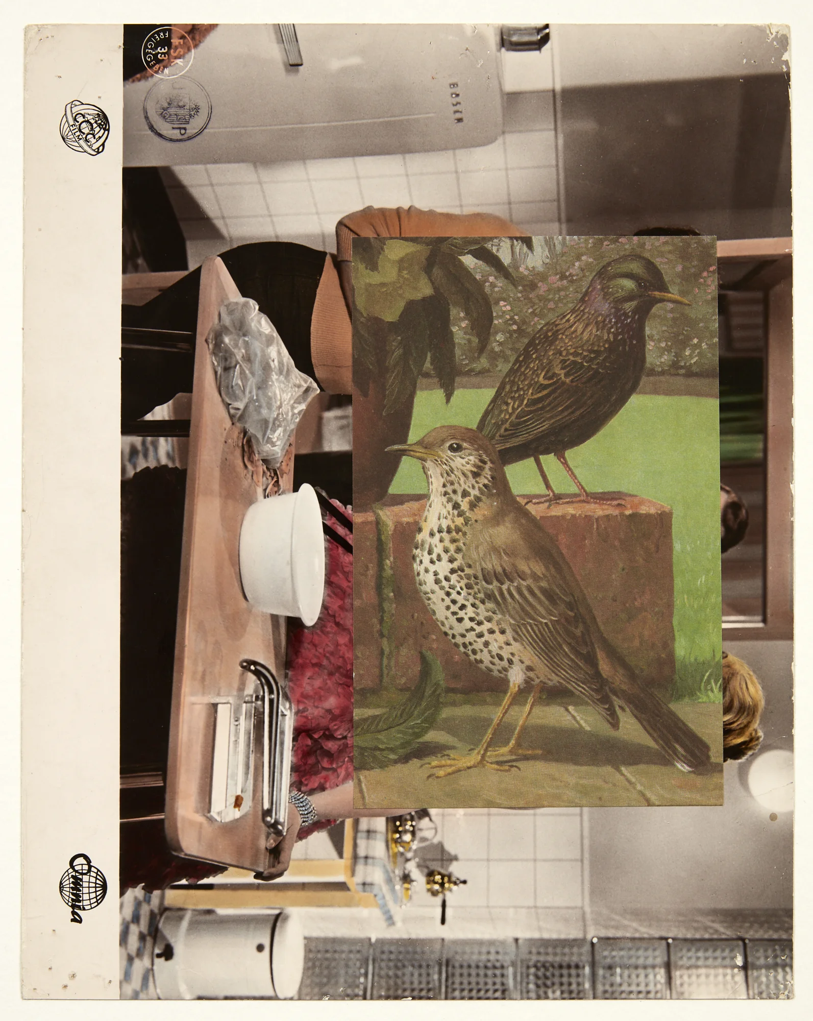 John Stezaker, Aviary I , 2018, collage, 29.3 x 22.9 cm, courtesy of The Approach, London