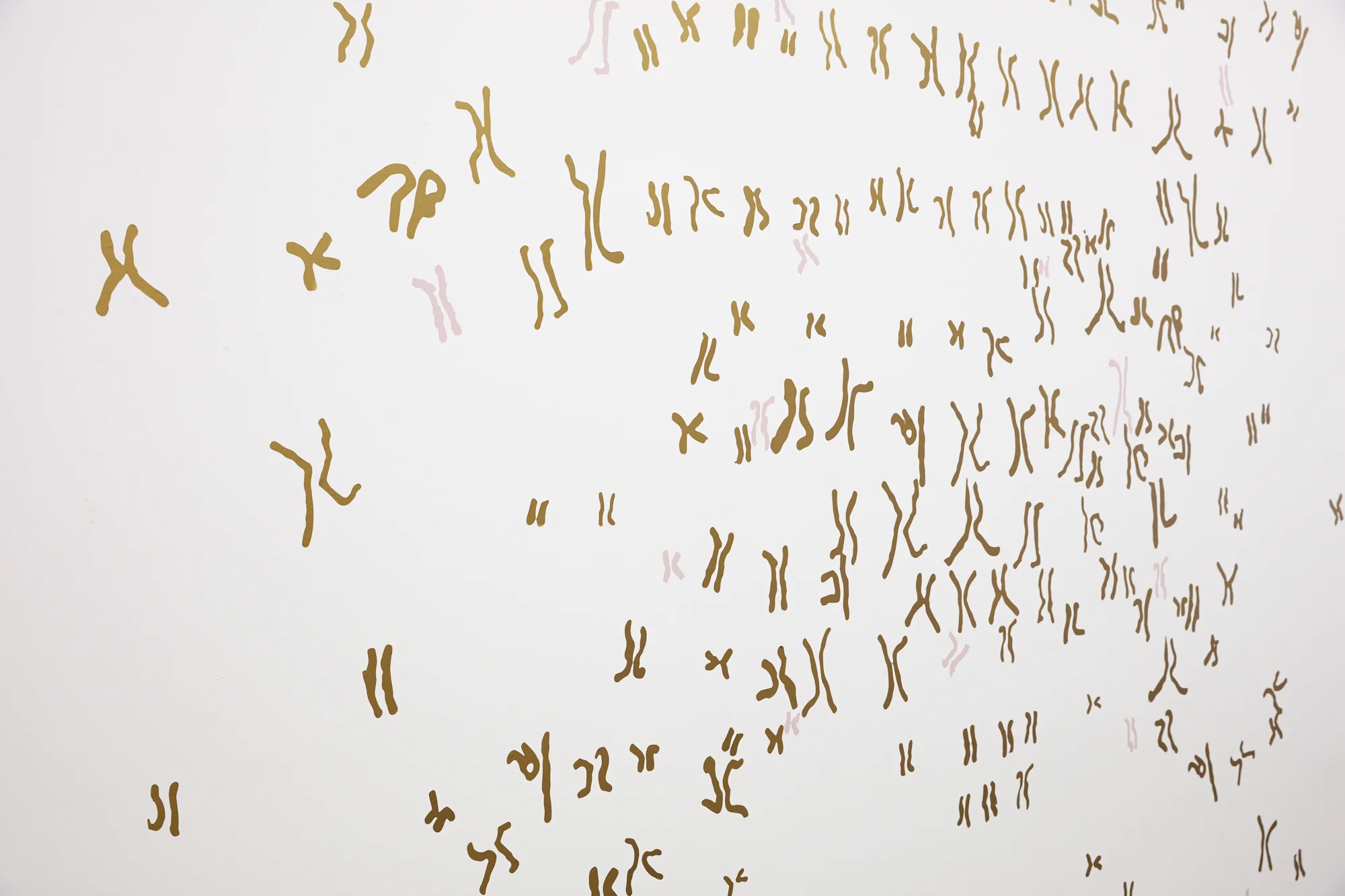 Alicia Frankovich, Microchimerism, 2018 (detail), gold and pink adhesive vinyl, dimensions variable, installation view.