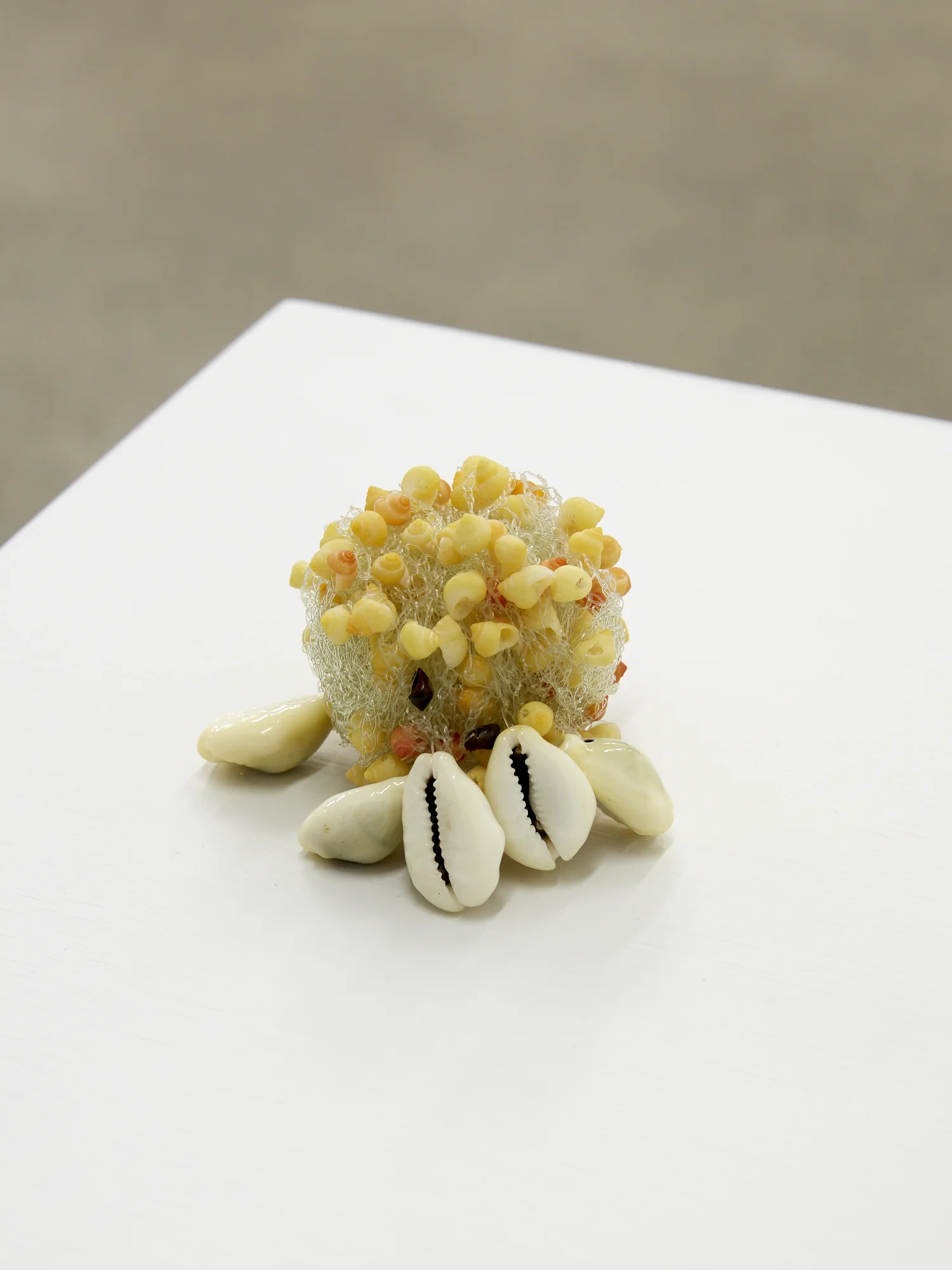 Ani O’Neill, ‘ei scrumbles , 2002 (detail), broken shell ‘ie, crocheted nylon