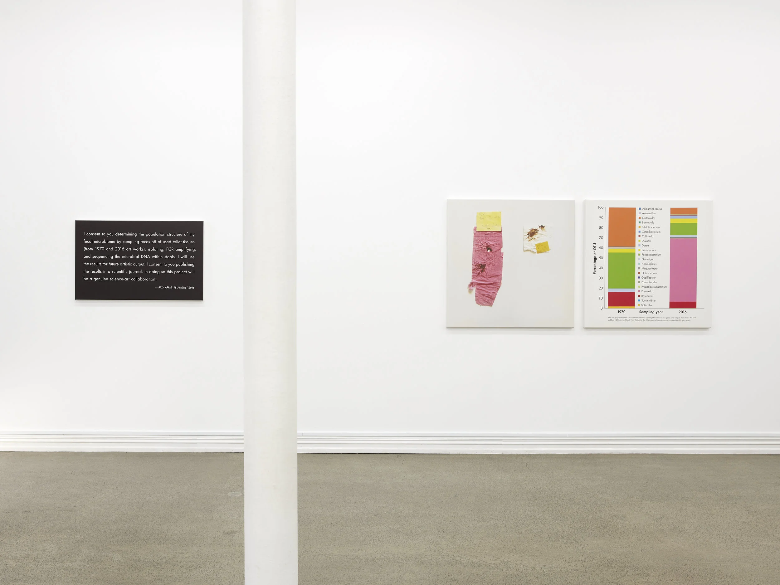 Billy Apple® , Billy Apple® is N=1, collection of the Liggins Institute, University of Auckland