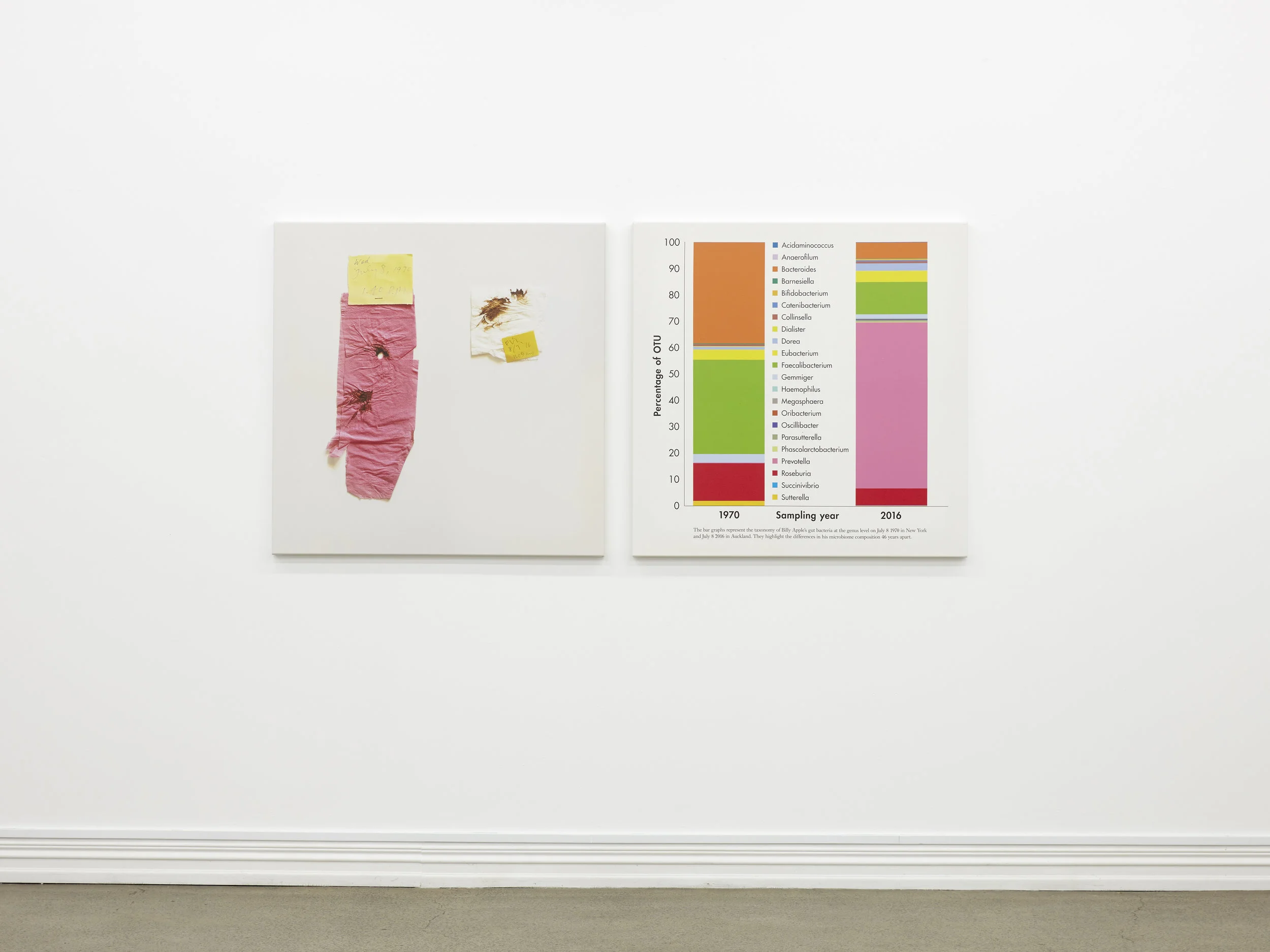 Billy Apple® , Billy Apple® is N=1, collection of the Liggins Institute, University of Auckland