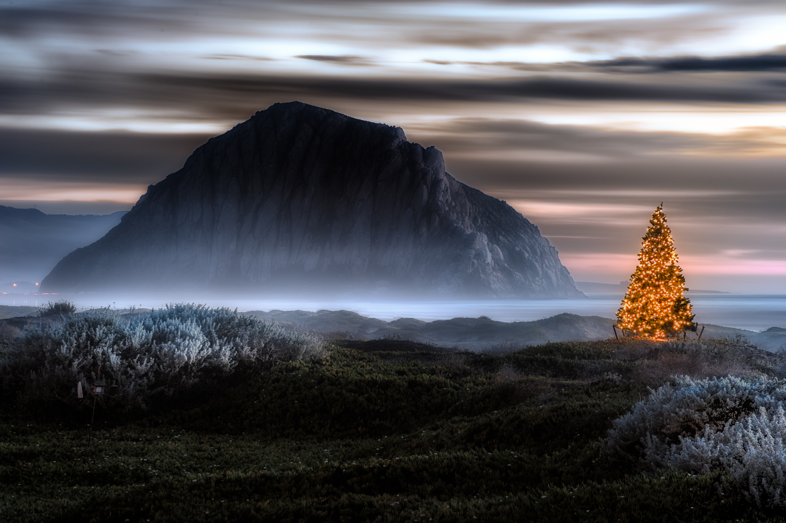 Morro Bay Christmas