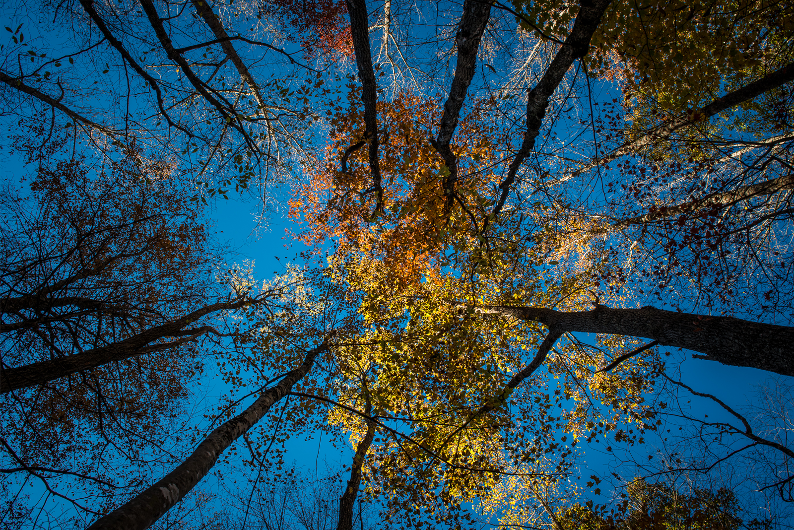 HJI_20151030_3484-HDR.jpg