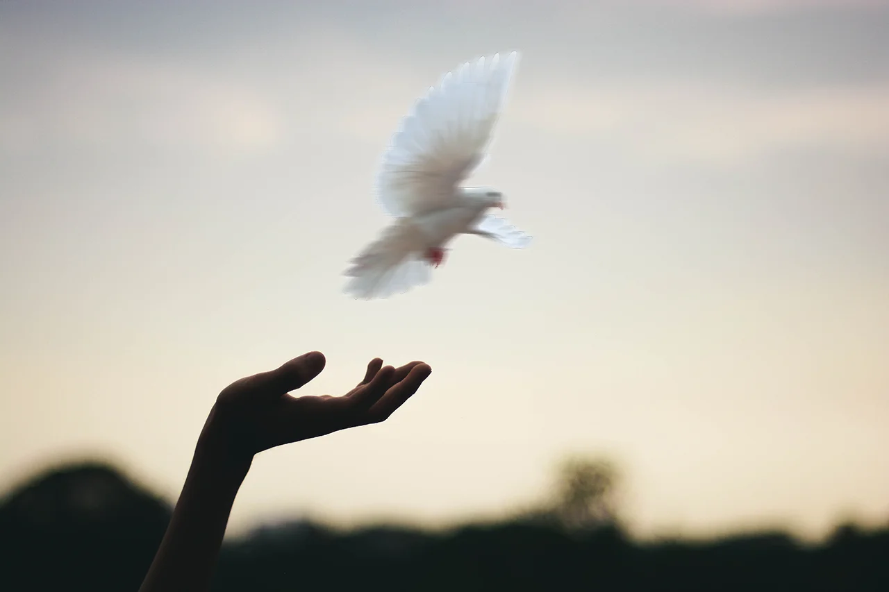 Sermon: "Free to Forgive," June 28th 2015, Lord's Prayer Series Part 3