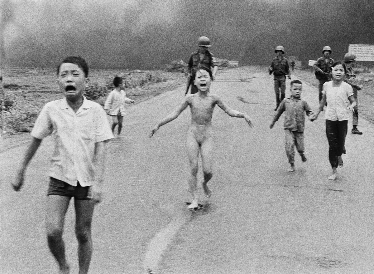 81961.jpg