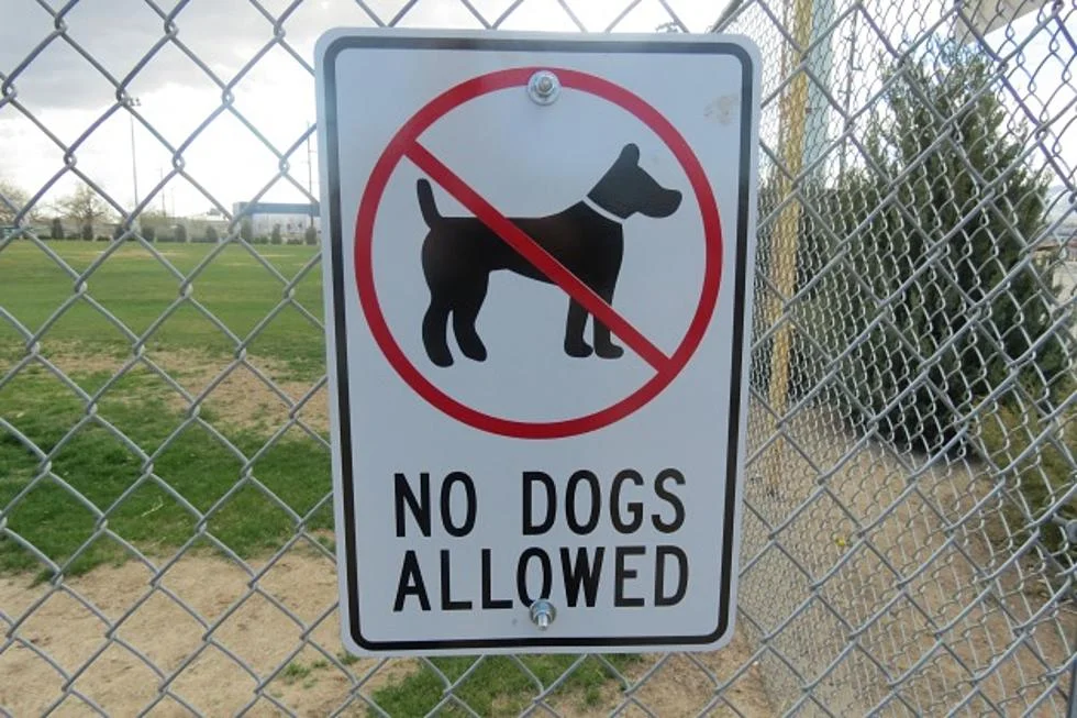 Sermon: "No Dogs Allowed," September 9, 2018