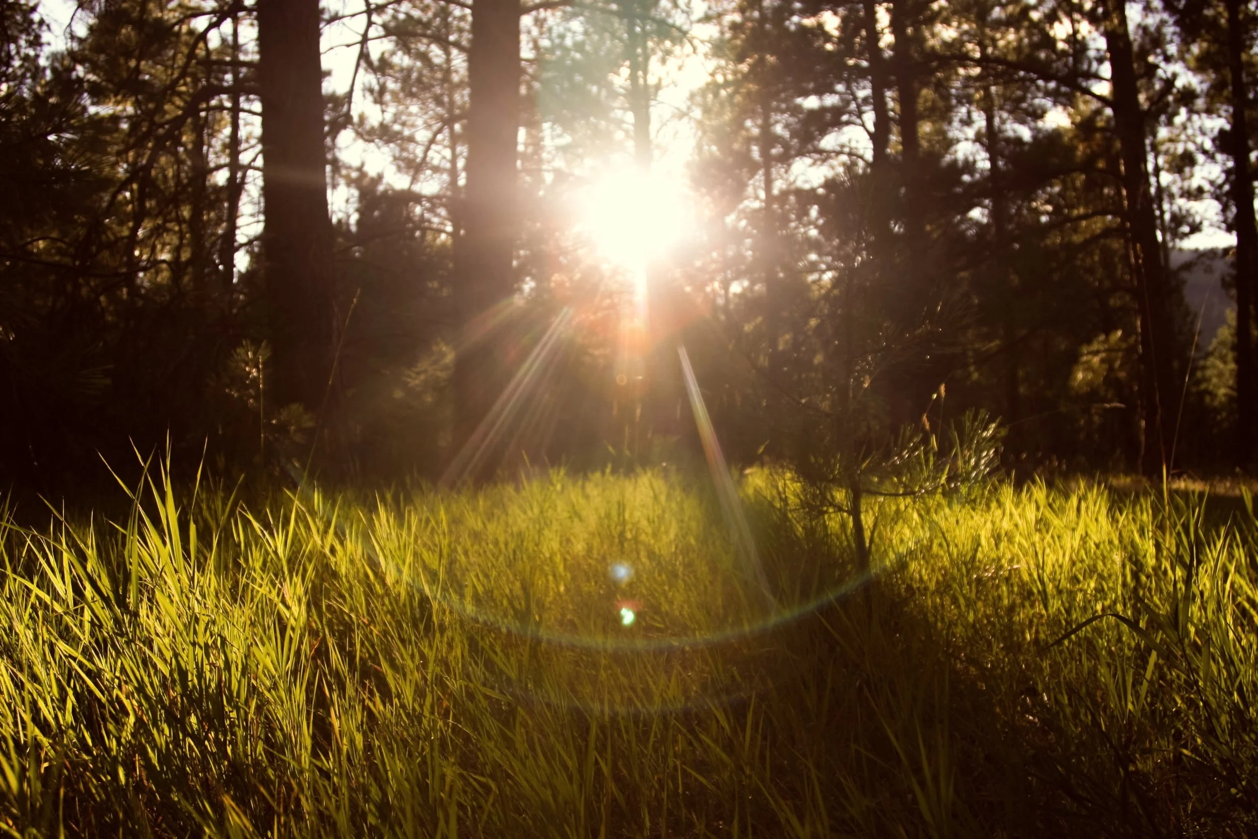 Sermon: "It Happens," February 10, 2019