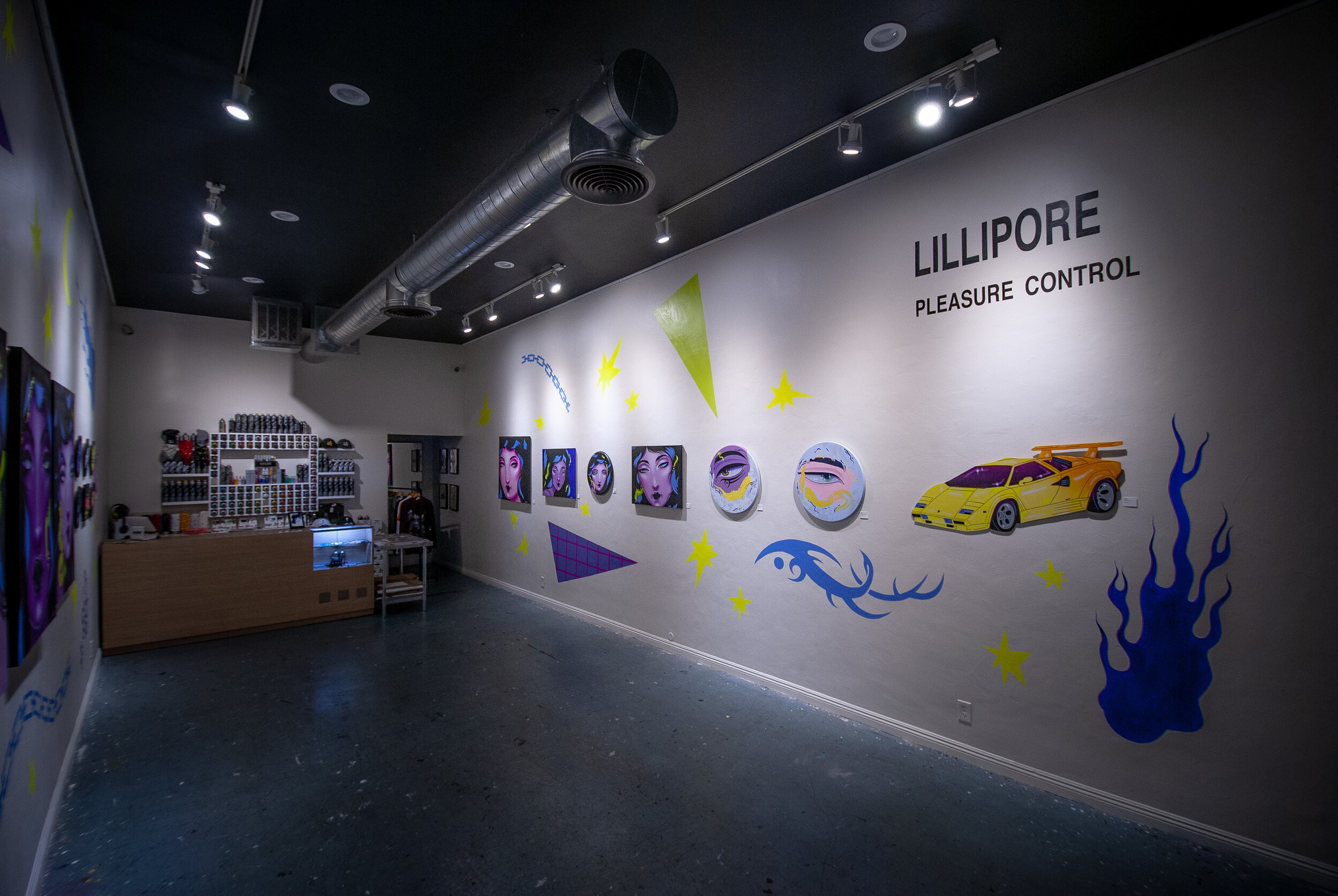 Lillipore Pleasure Control - Install Shot3.jpg