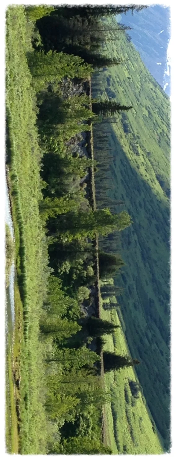 Turnagain Pass 06202014 B (3).jpg