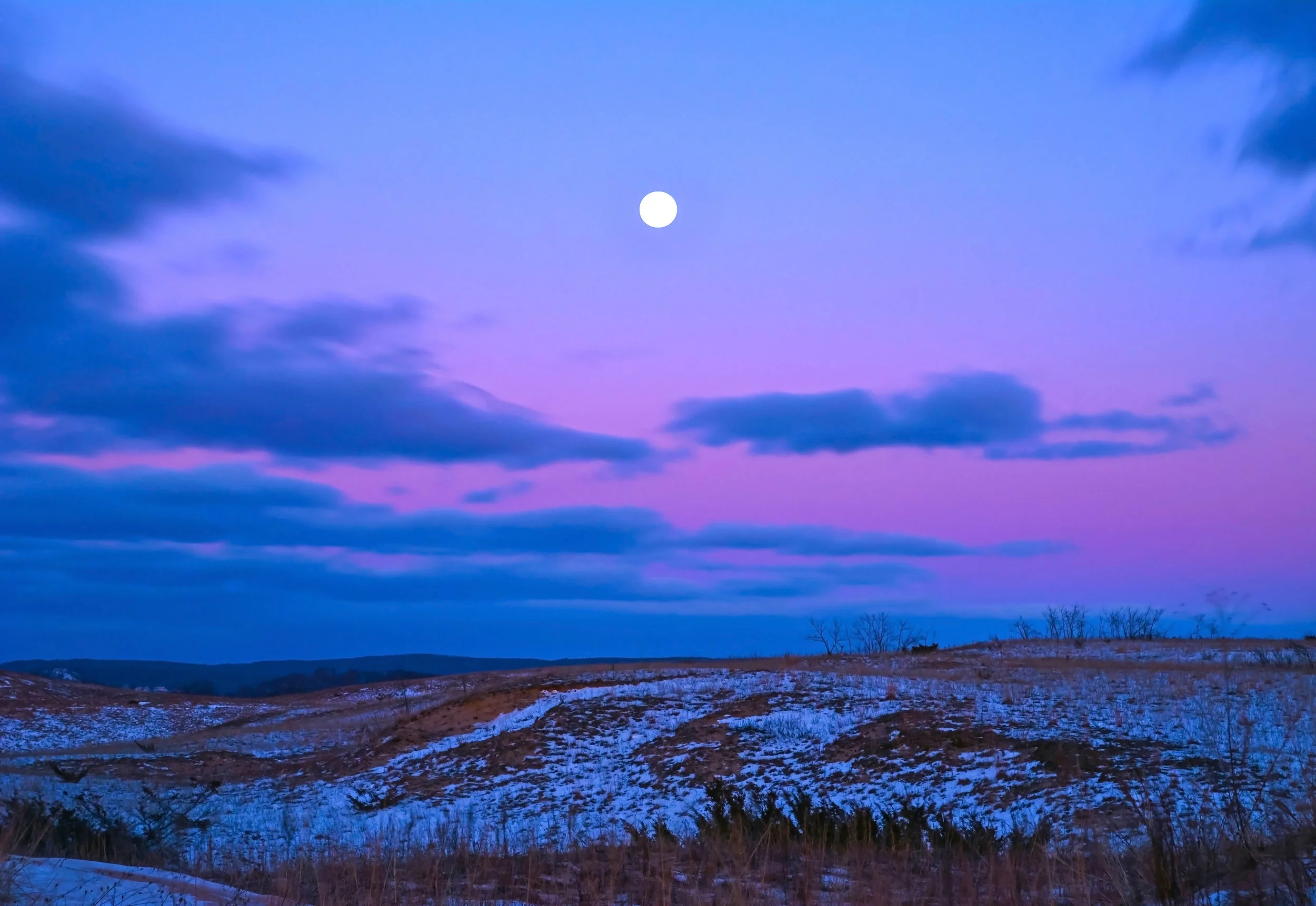 Full Violet