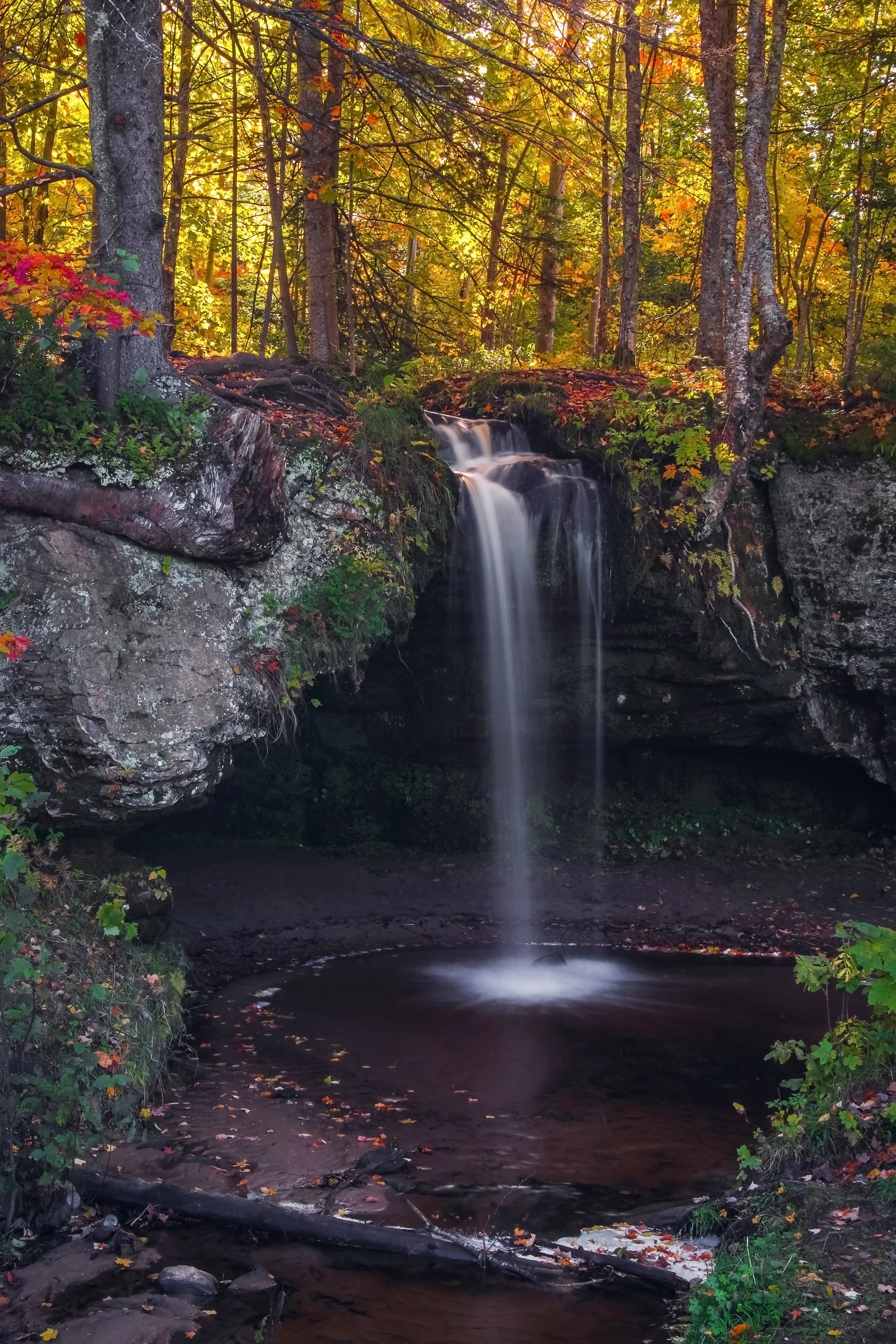 Scott Falls, 2017