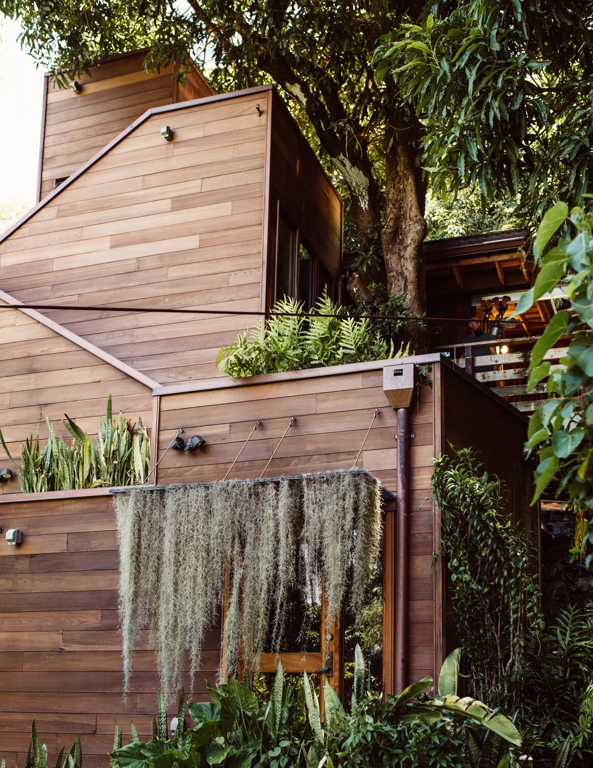 Sustainably Made, EcoFriendly Palolo Treehouse — THE EDIT HAWAII