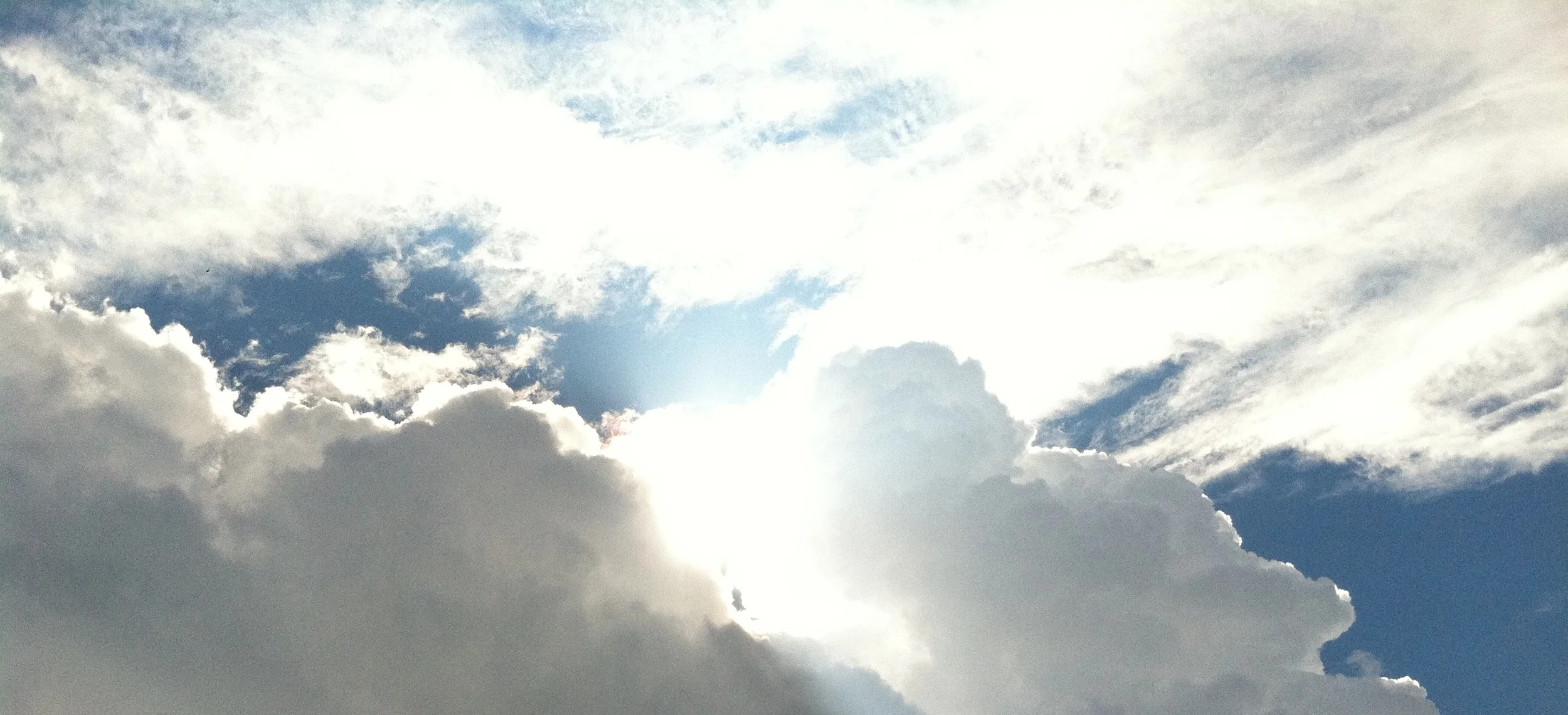 Nadine Storage 268.JPG