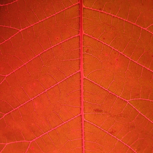 Learn to love your logframe