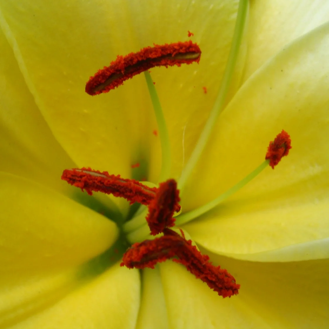 Evaluations MonitorPivotLlearn