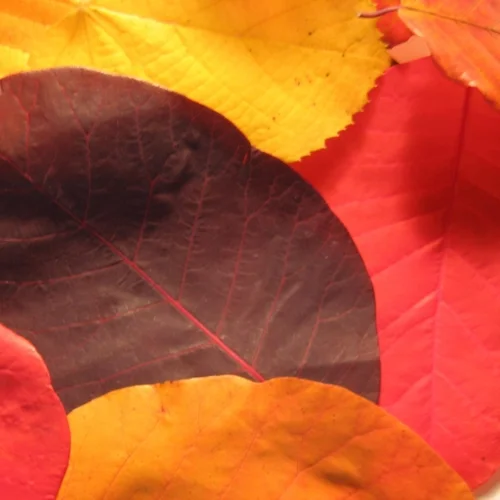 Project inception meeting