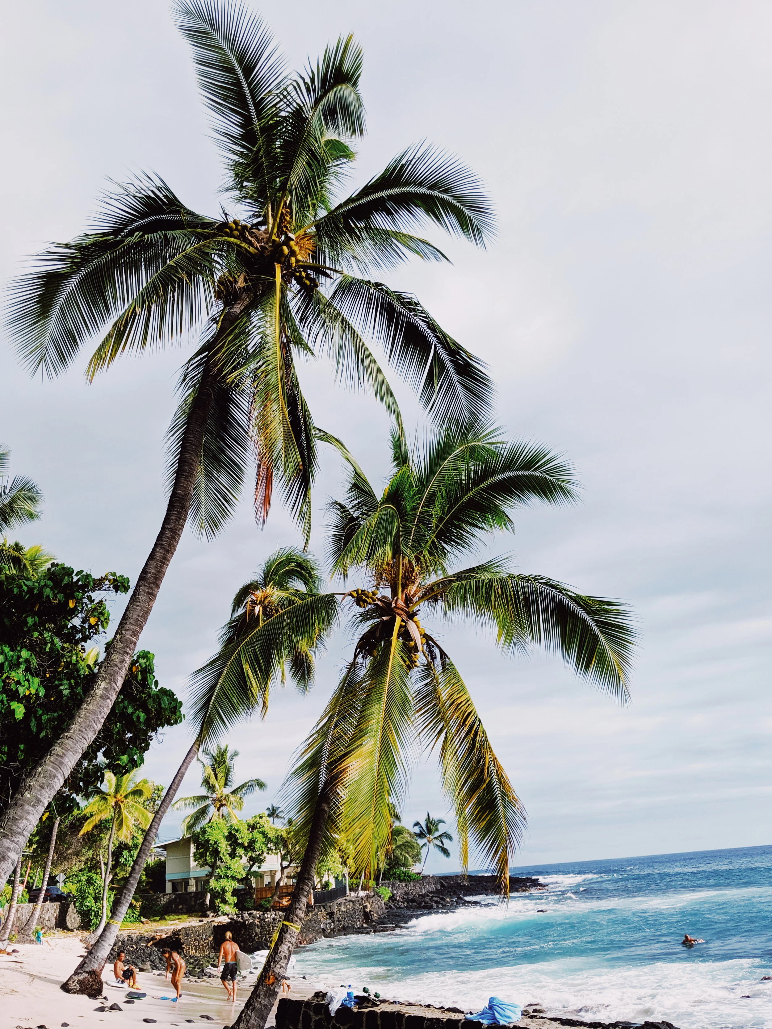 2019-08-12 05.24.33 1.jpg