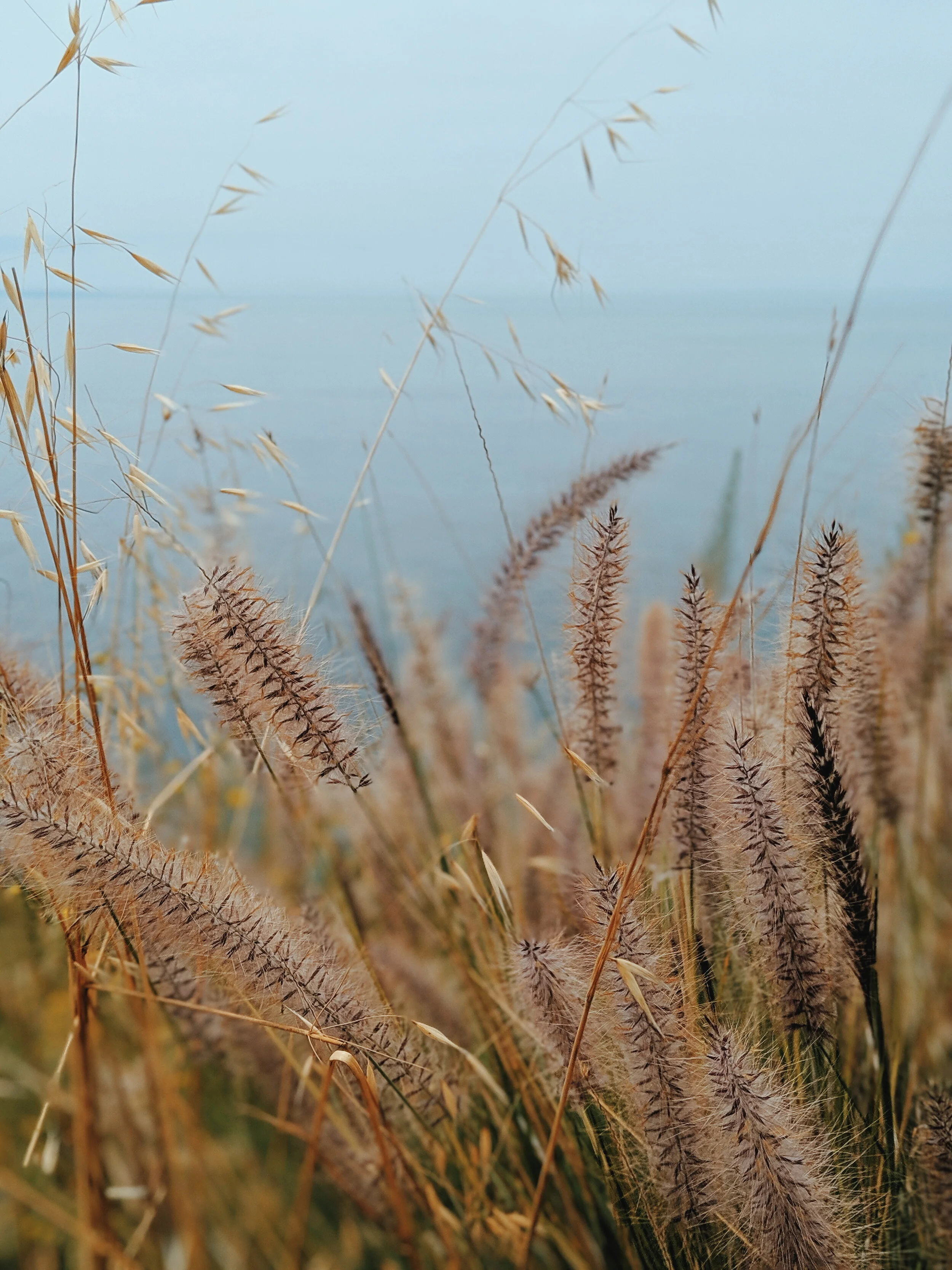 2019-07-20 07.53.04 1.jpg