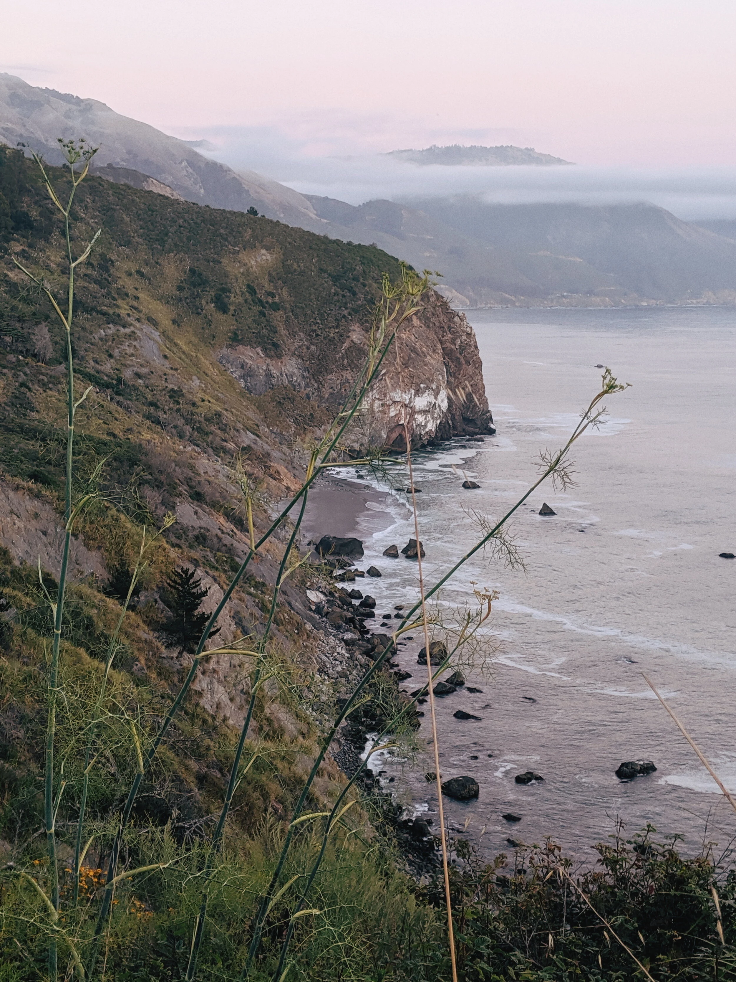 2019-07-20 08.43.49 1.jpg