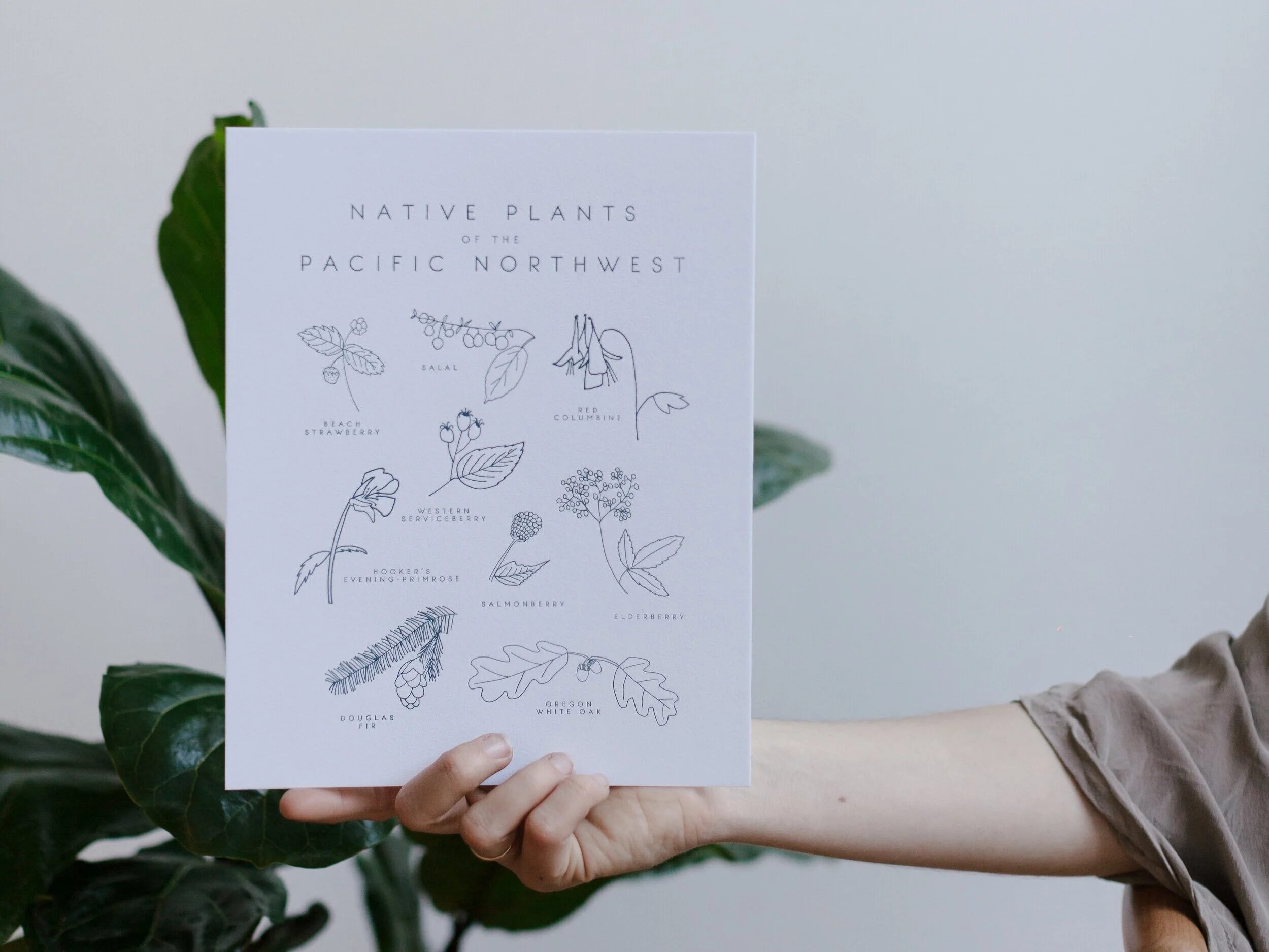 Native Plants of the Pacific Northwest