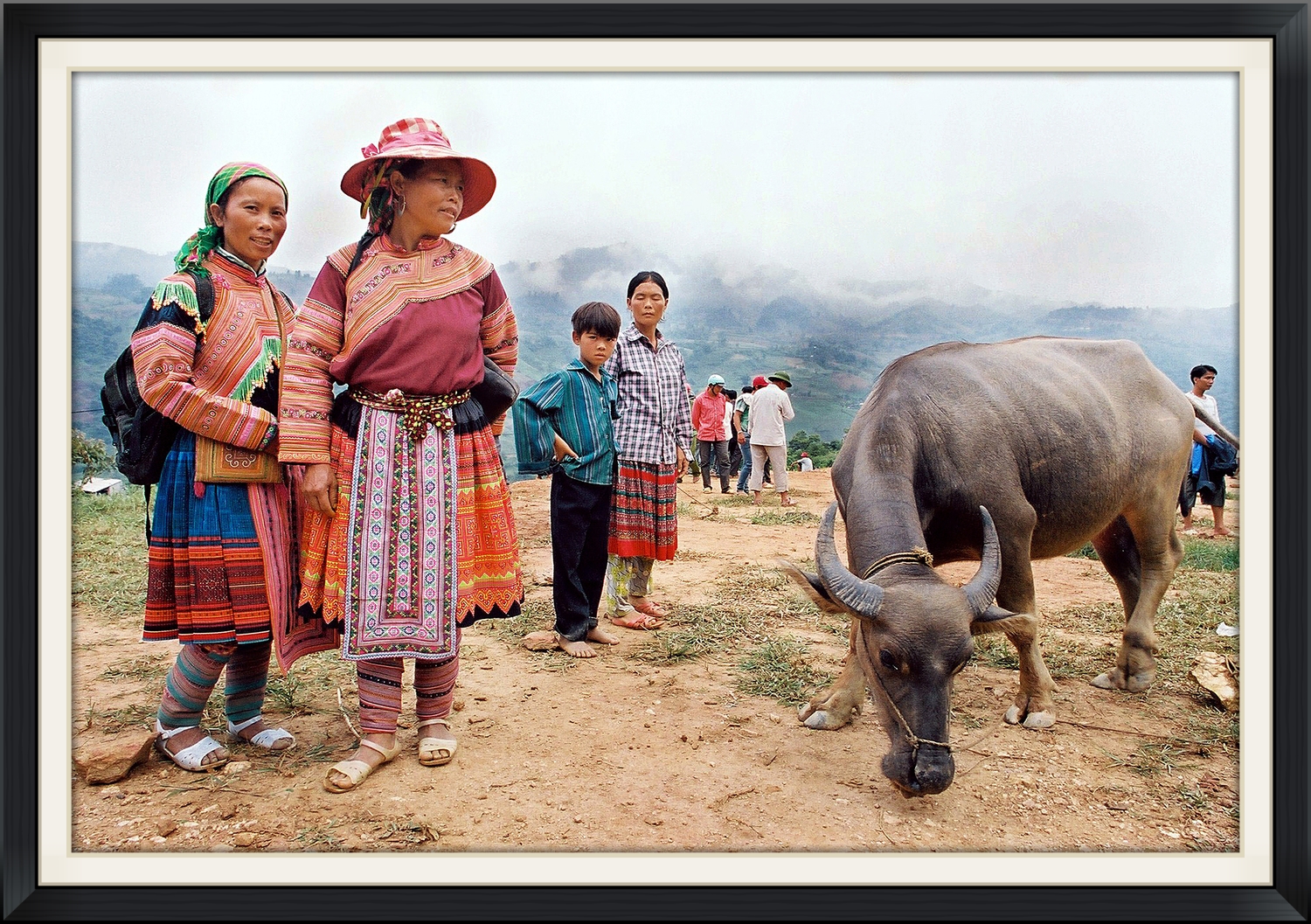 Buffalo Market