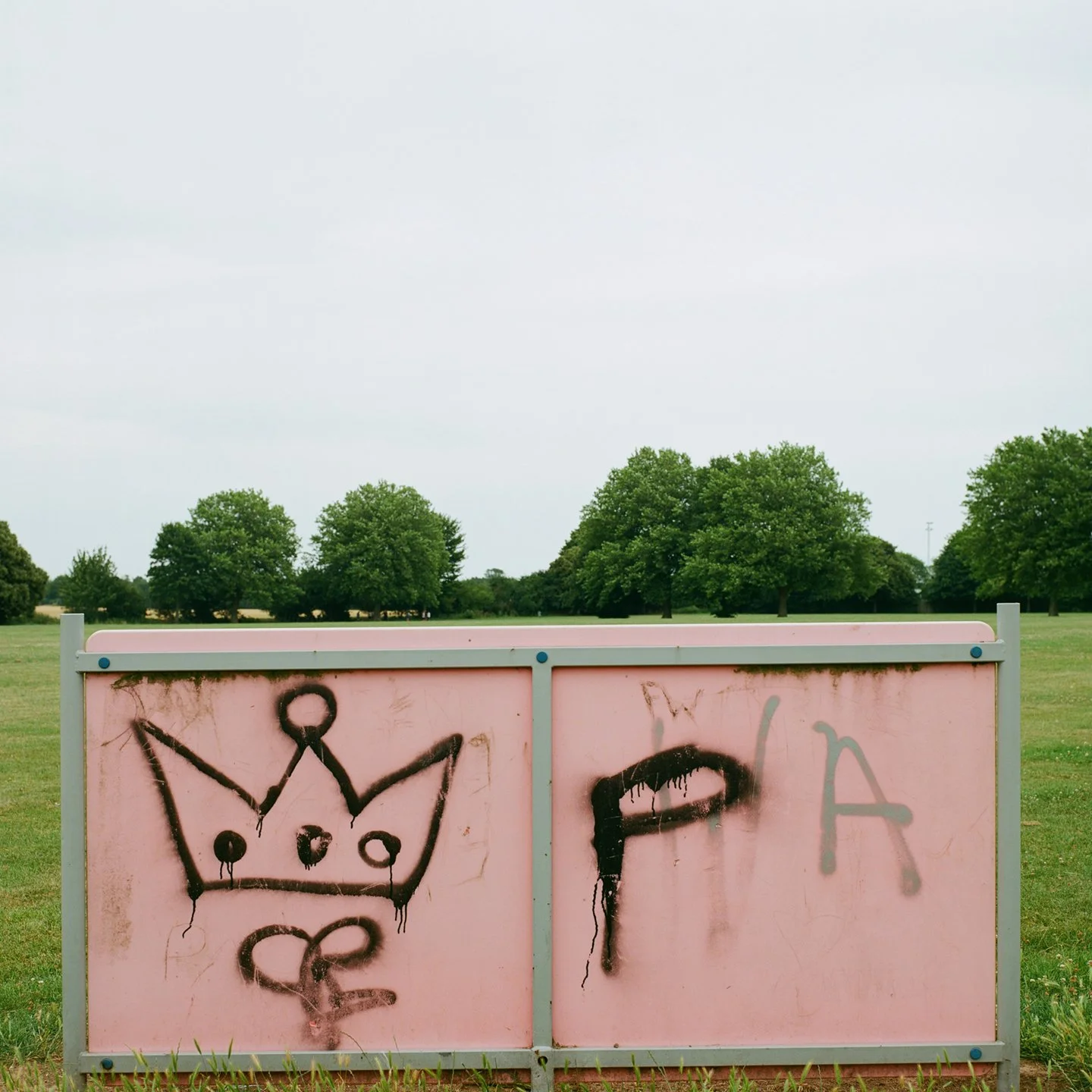 LE_A Nod to Basquiat Perhaps?.jpg