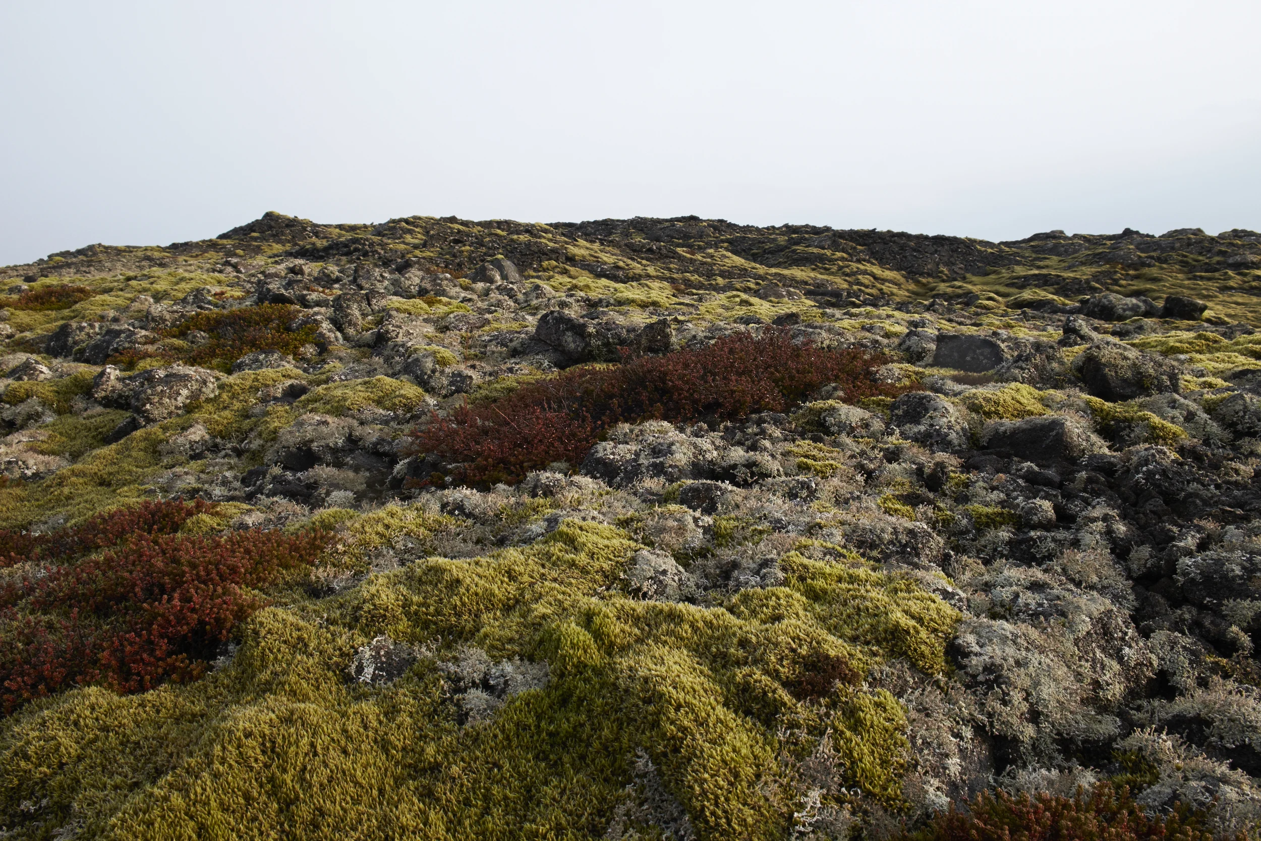 Lunar landscapes in Iceland