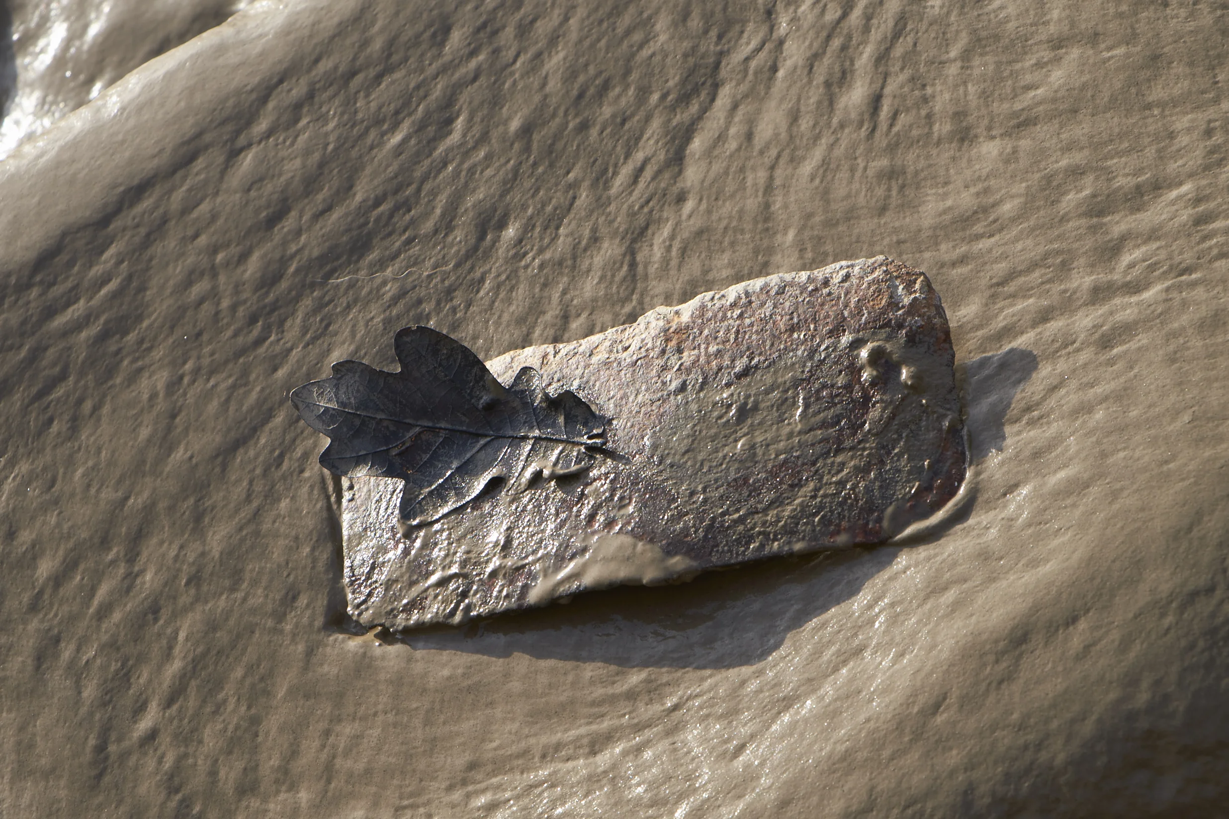 Leaf on metal meets sludge