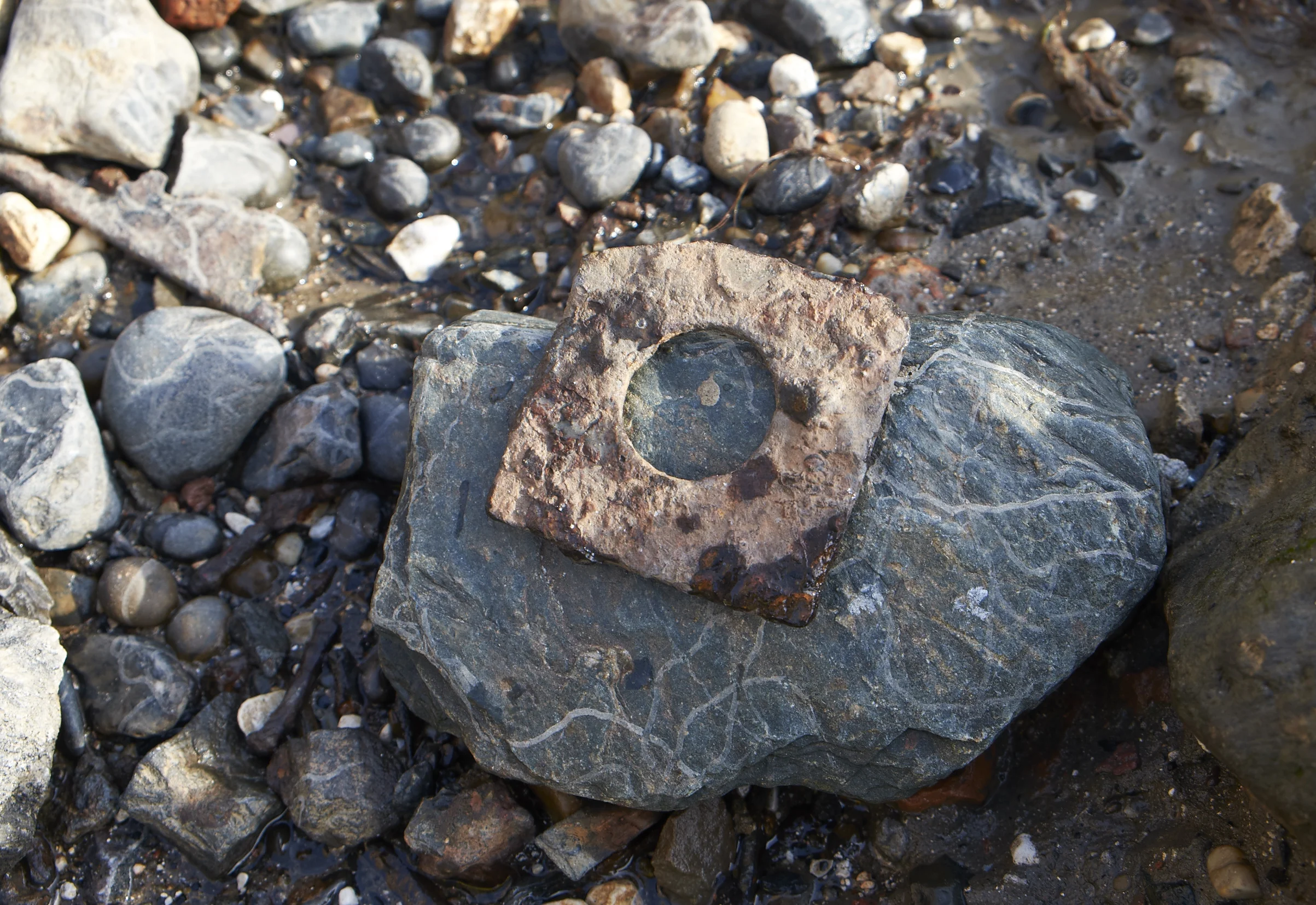 Rusted round