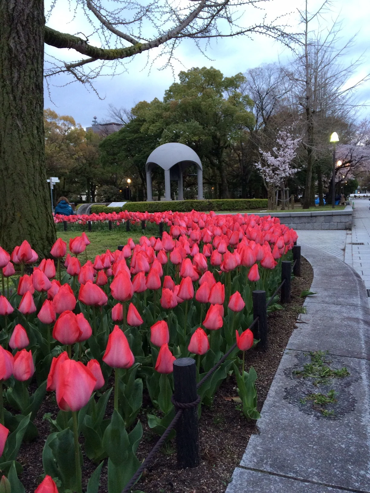 Hiroshima Peace Memorial Park