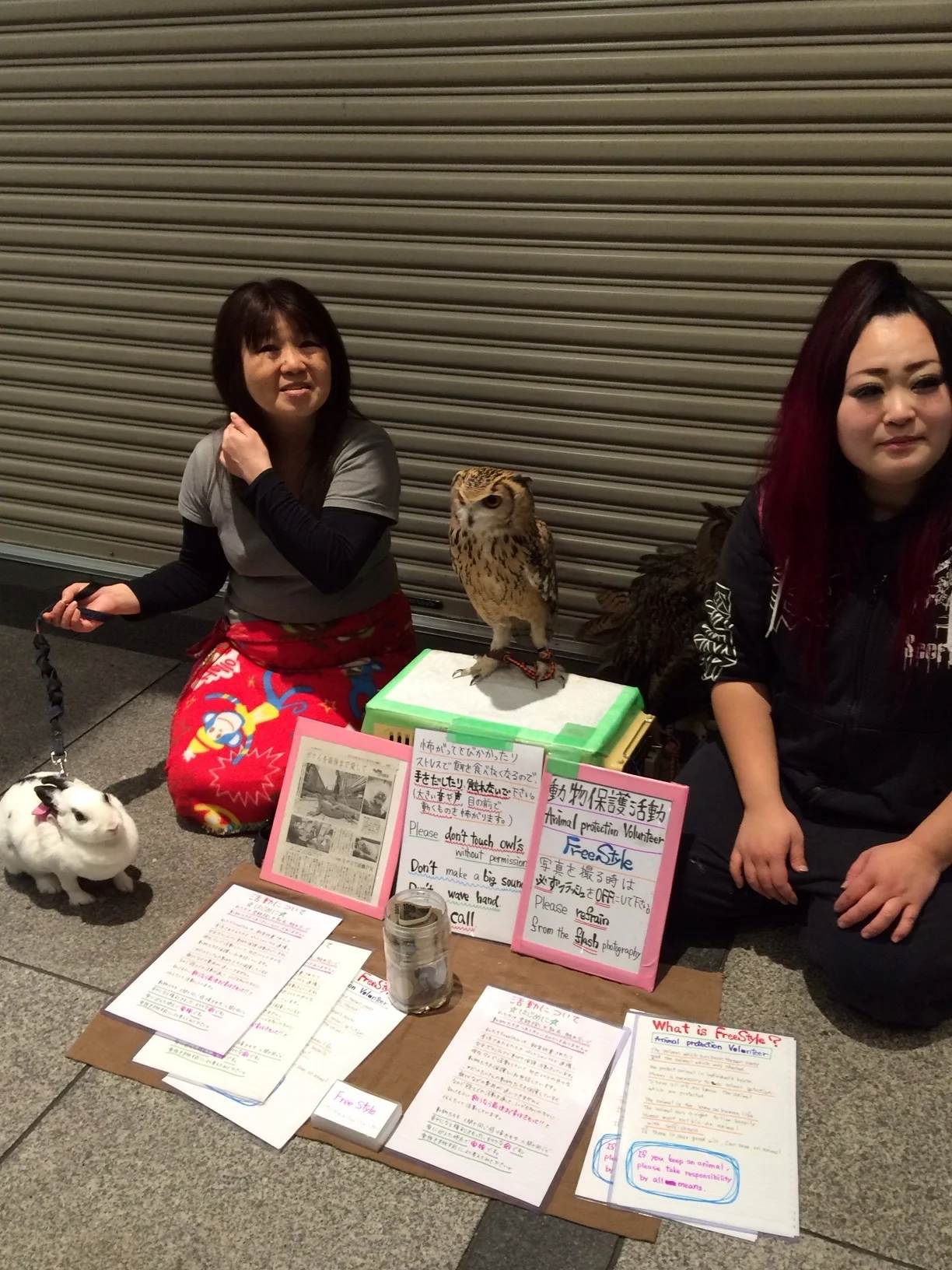 Animal 'welfare'