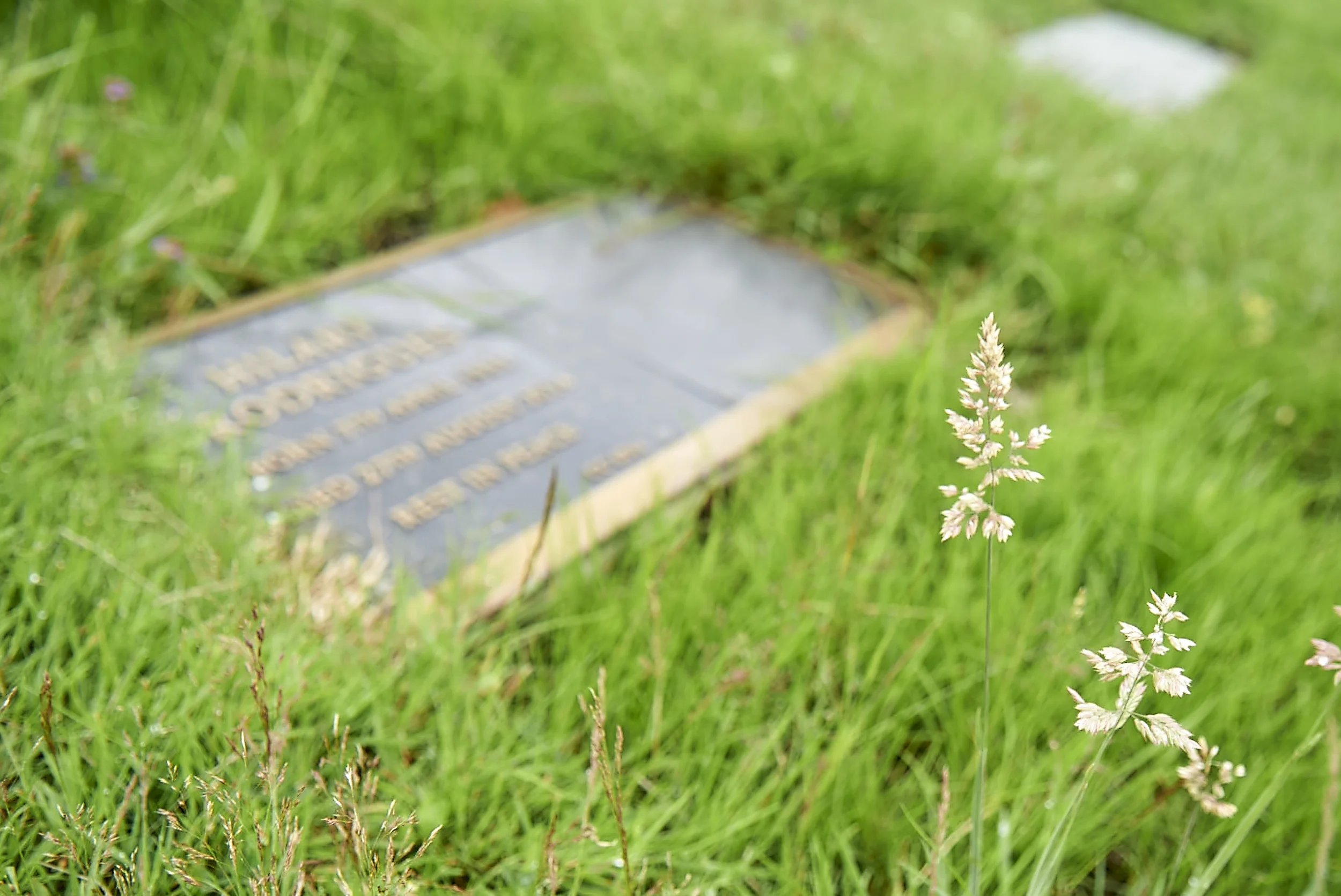 Lawn-styled cemetery where only flat memorial plaques are allowed