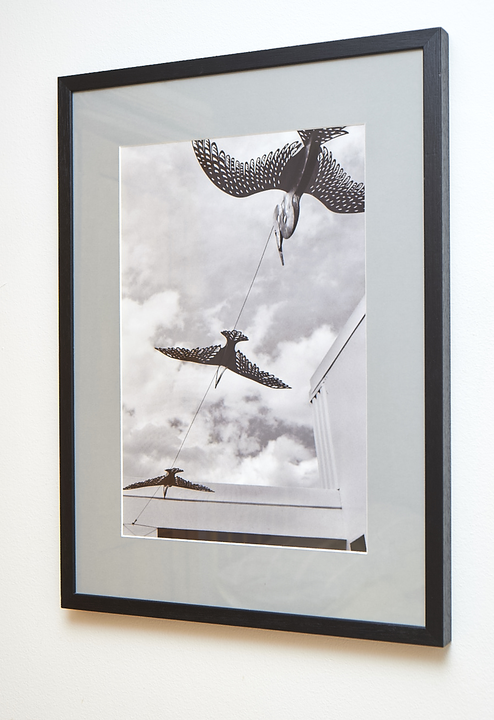 Flight of Fancy Another image from Napier. Shot on black & white film, and framed in a black frame with grey border. Frame Size approx. 25 x 18.5" COST £40.00