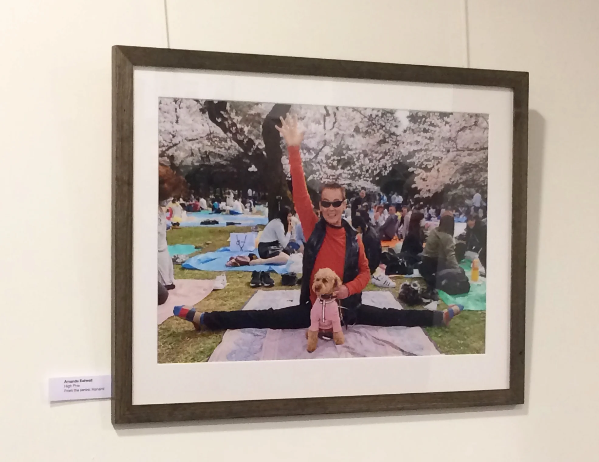 High Five! From the series Hanami - shot on location in Tokyo earlier this year as people celebrated the arrival of the Cherry Blossom. A very popular image, and one that is sure to bring a smile to your face every day! Frame Size approx. 21 x 17" COST £55.00