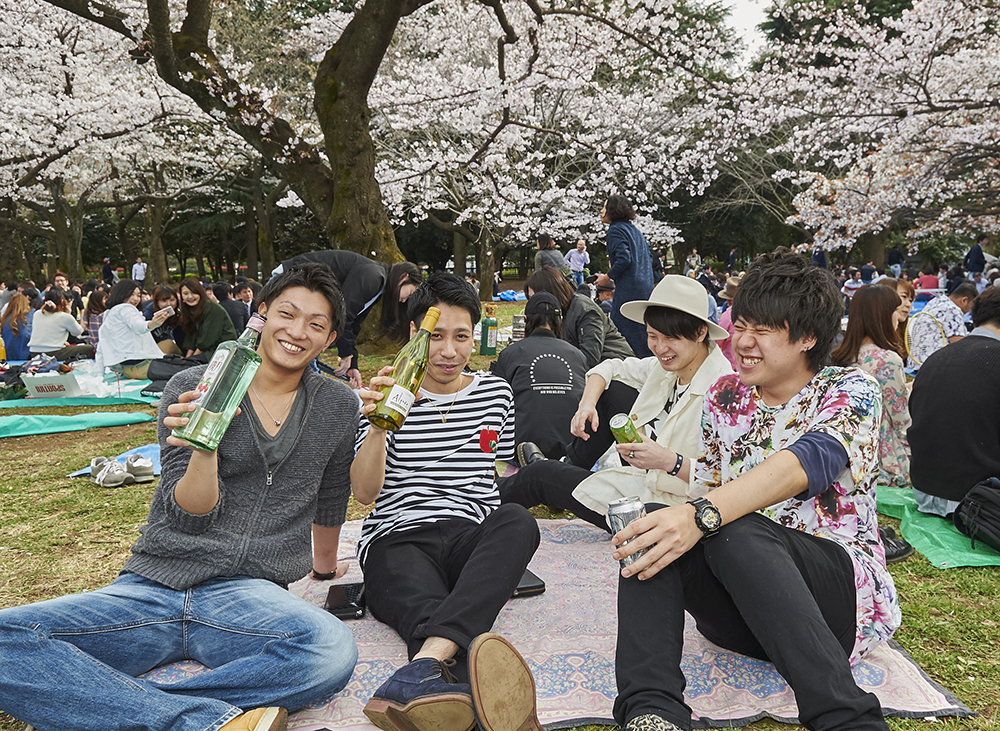 Young men gather in Yoyogi park to celebrate hanami, Tokyo