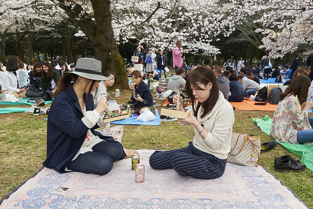 Bento Boxes for lunch, photo by Amanda Eatwell