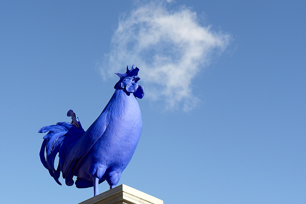 Hahn/Cock Trafalgar Square Photographed whilst leading a 'Walk Talk Click' event