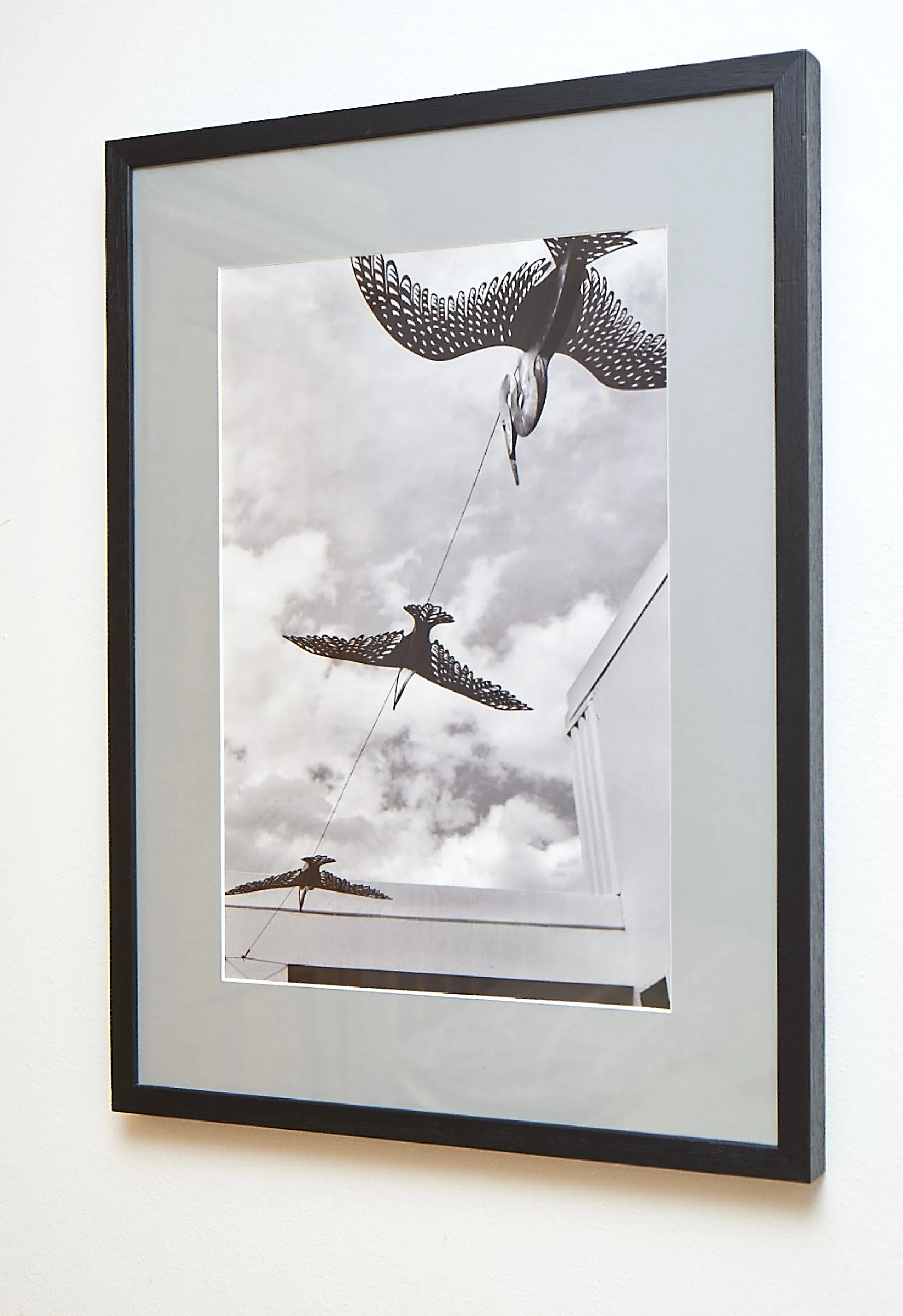 Flight of Fancy Another image from Napier. Shot on black & white film, and framed in a black frame with grey border. Frame Size approx. 25 x 18.5" COST £40.00