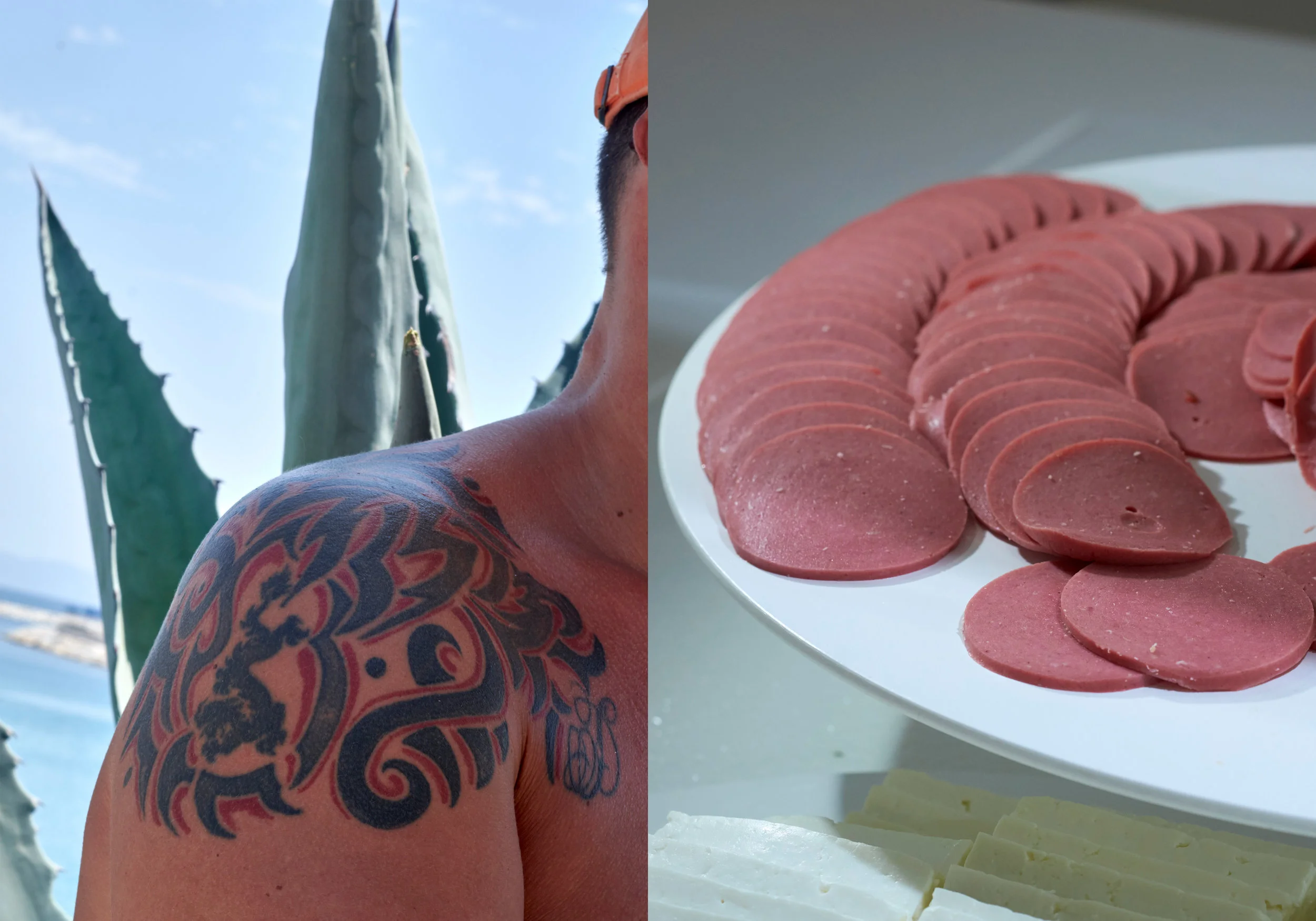 This is not Pork, Shoulder.jpg