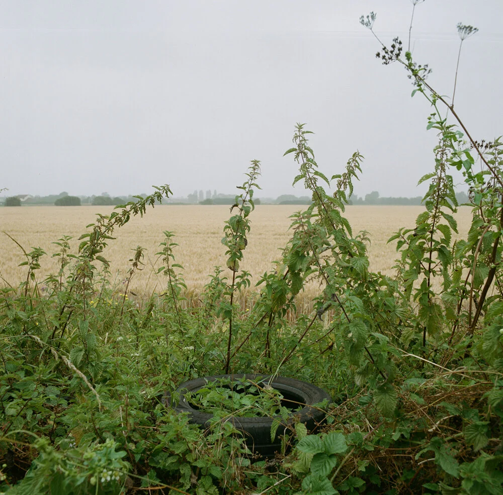 What happens next: Will the nettles die, will somebody cut them back, will the tyre perish over years or will somebody collect it as part of a mission to keep Britain tidy ?