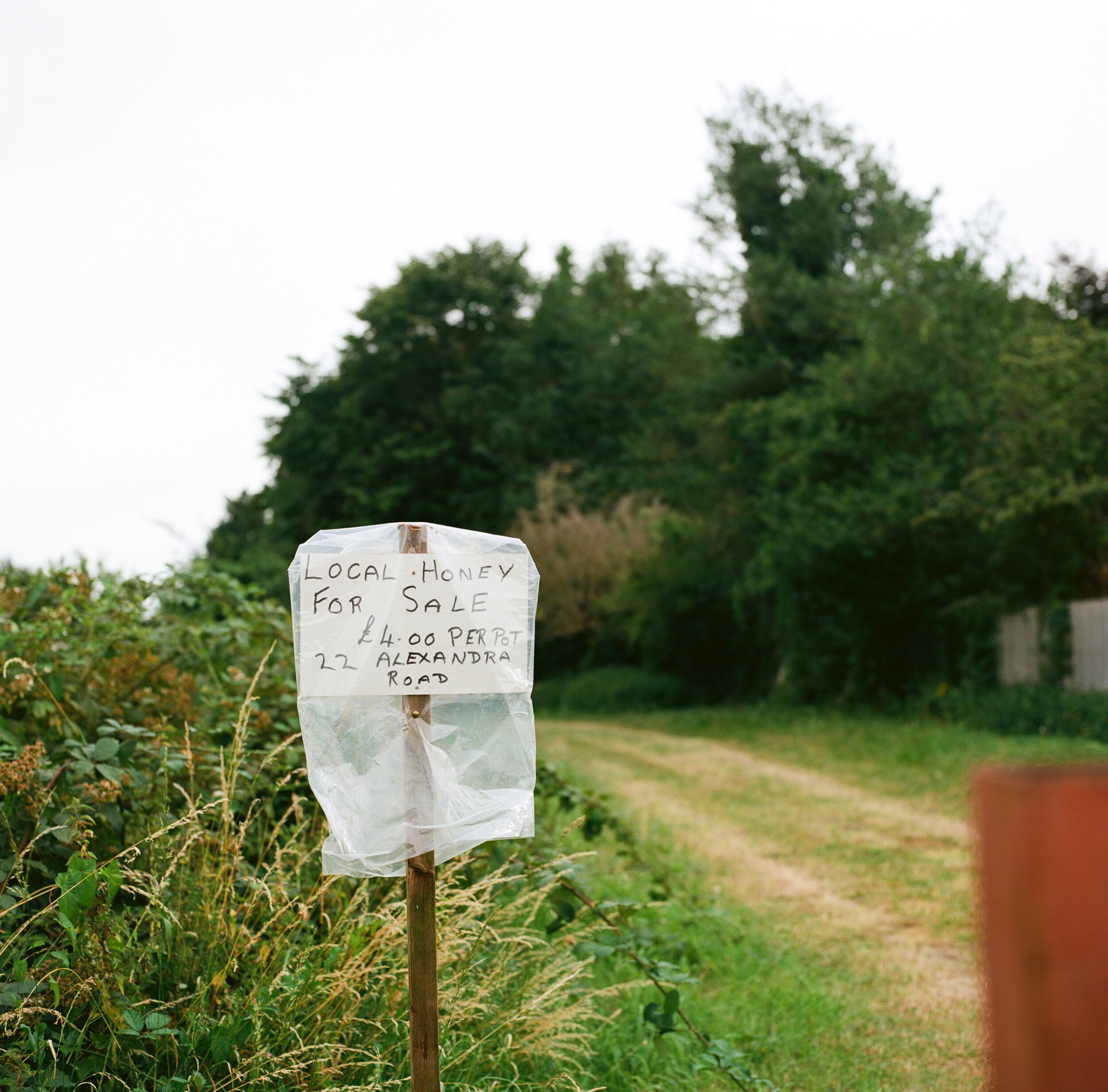 My Great Photographic Adventure in Great Wakering (Part 2) 