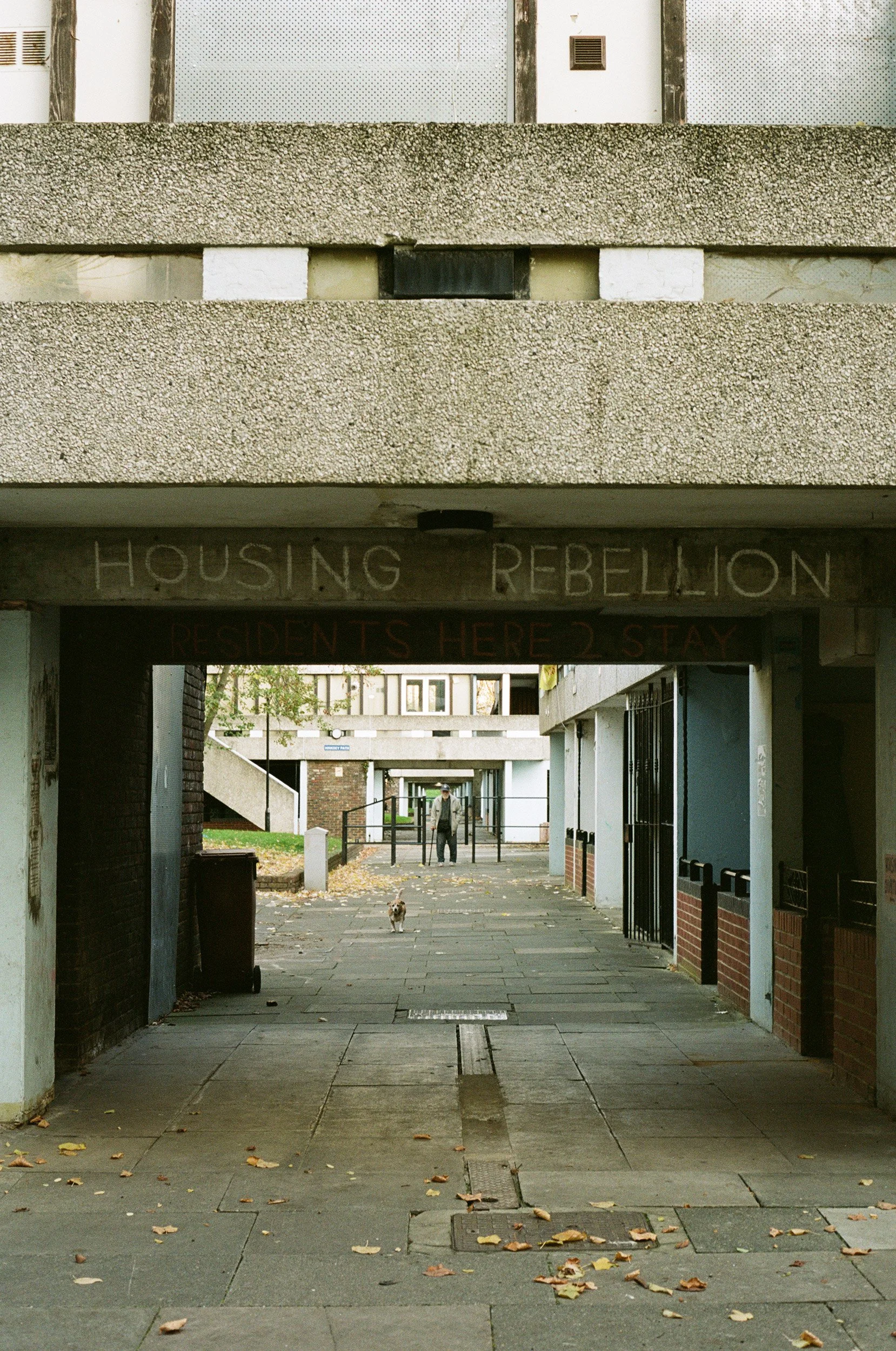 Housing-Rebellion.jpg