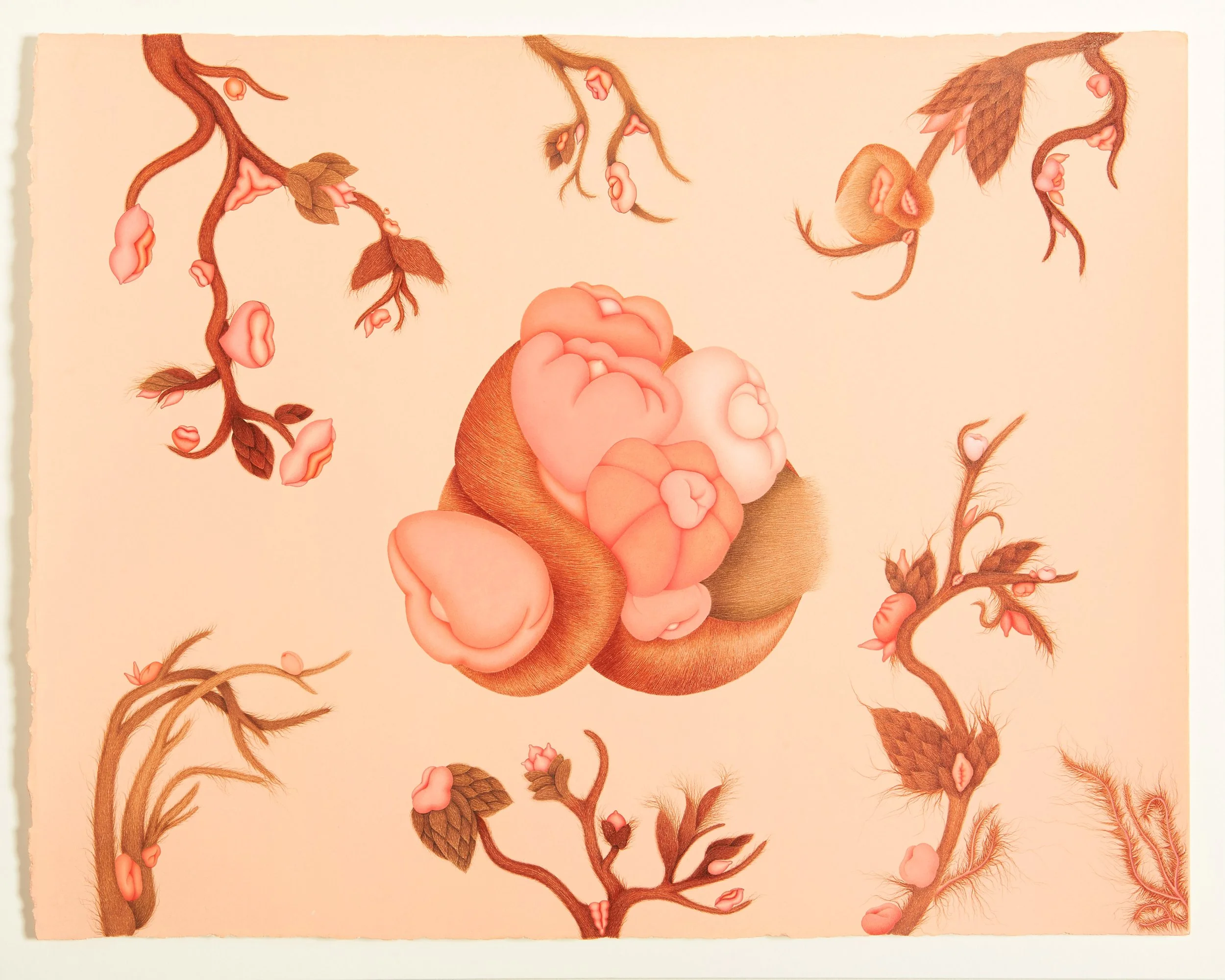 Finely detailed drawings by Turkish Artist Ceyda Keratas