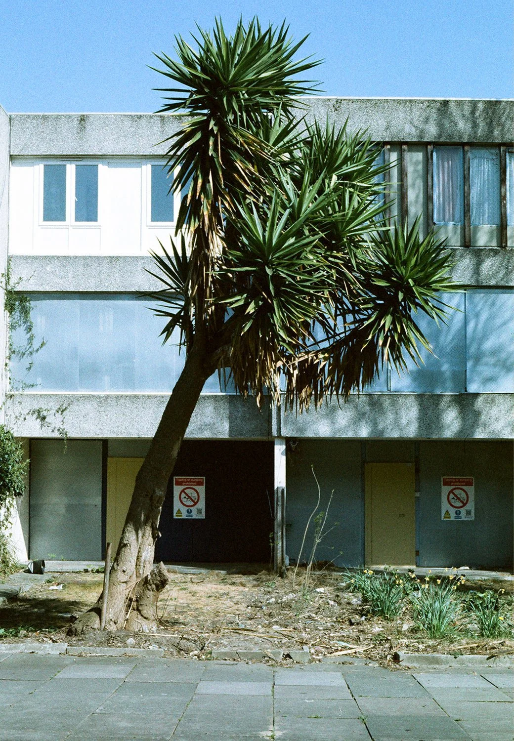 Dwellings: A work-in-progress exhibition