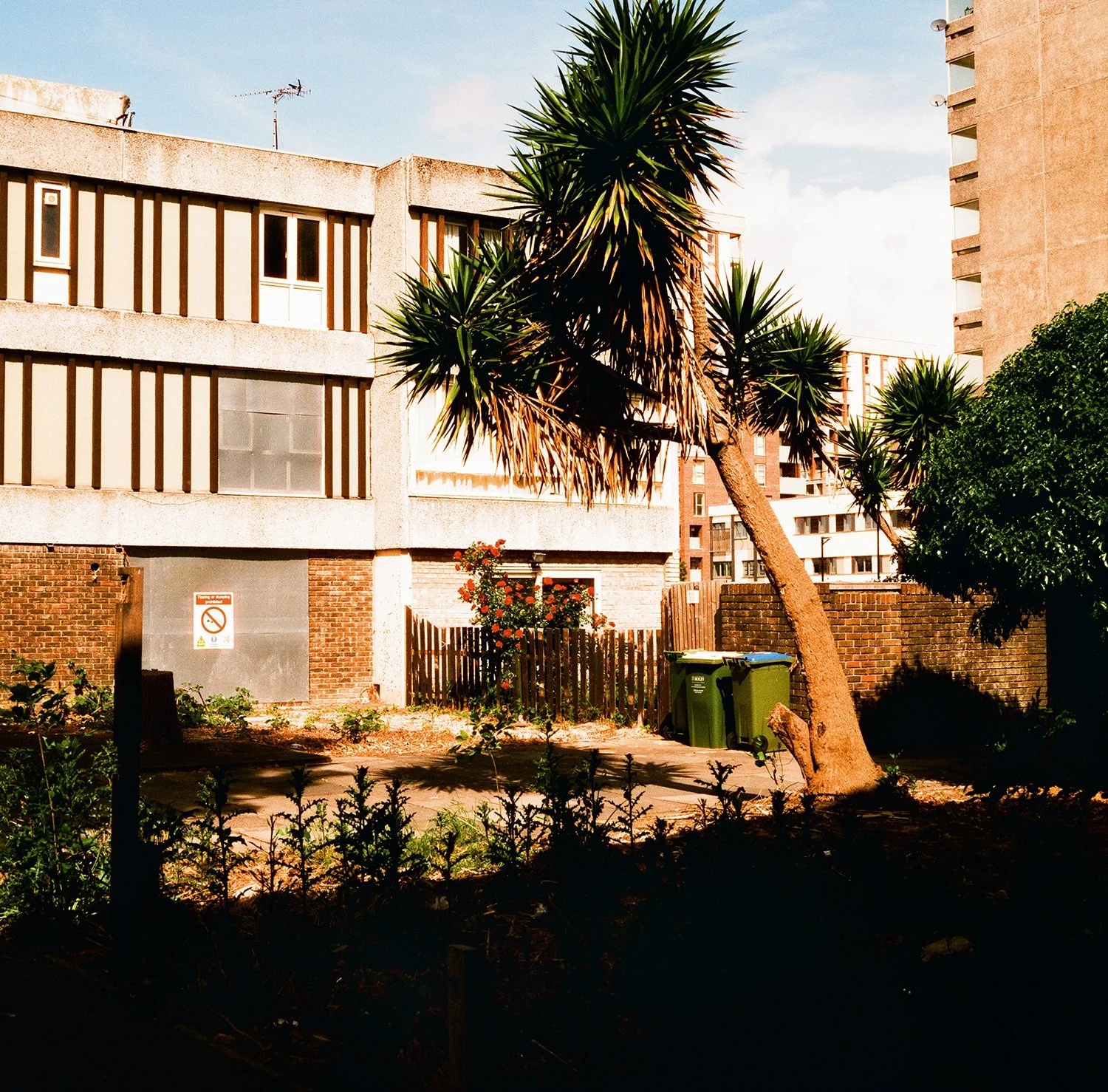 AE_Lesnes_Estate_thamesmead tropical.jpg