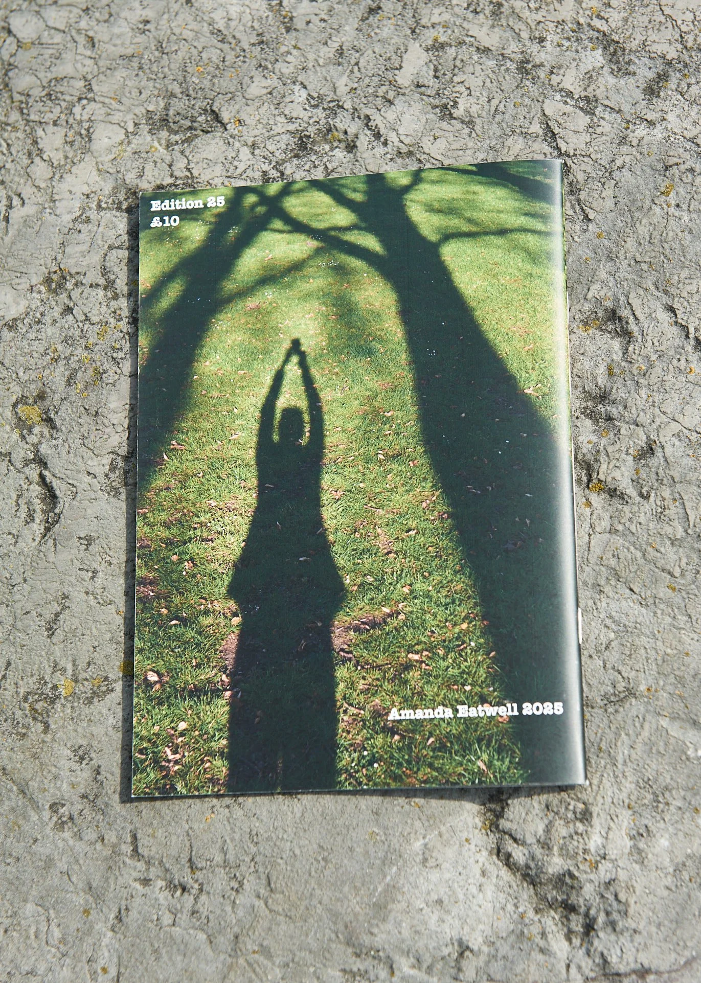 Covid_Anniversary_zine2.jpg