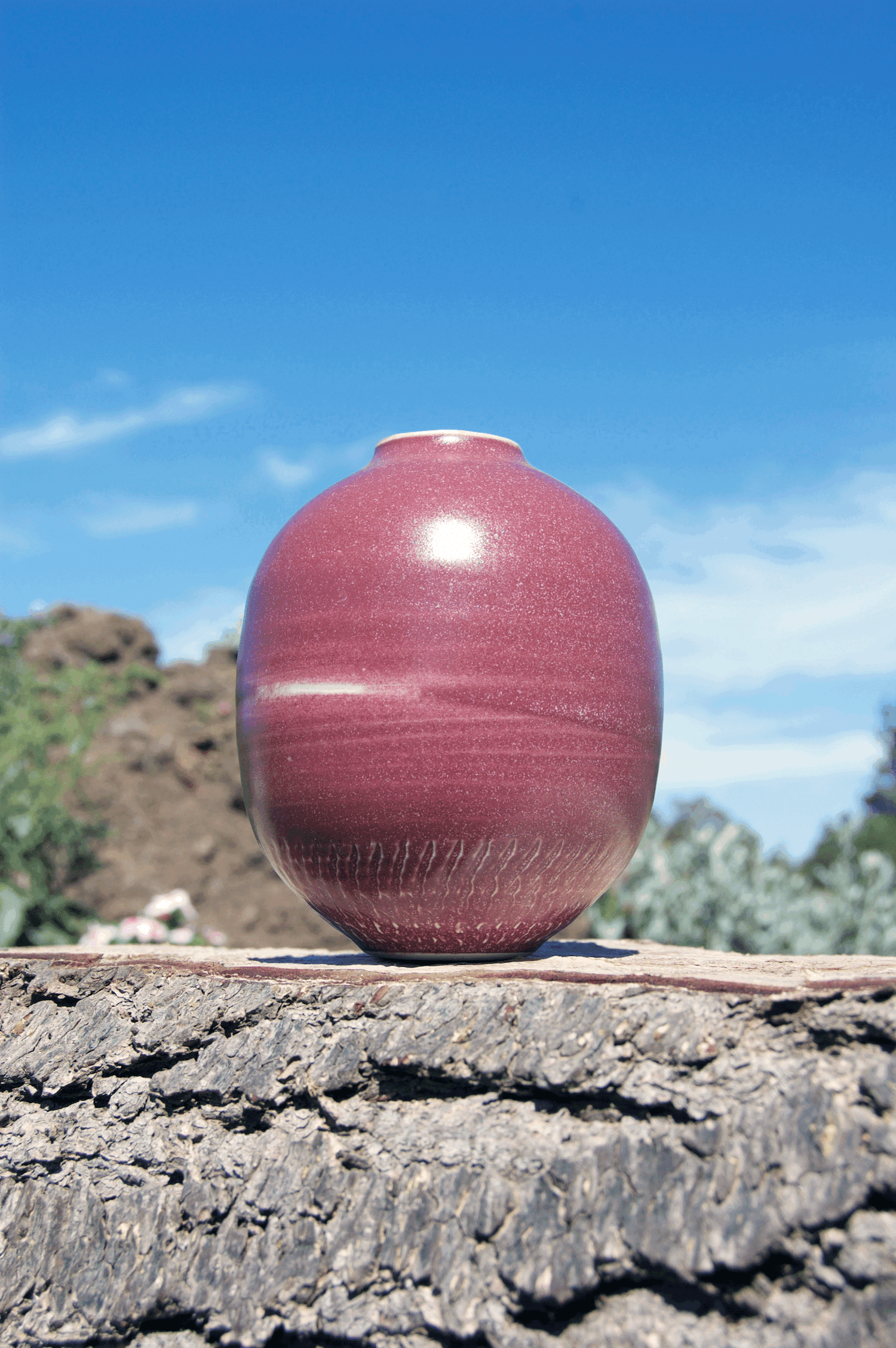 andrew-bloxsome-studio-ceramics-red-vase-21-02-2016.gif