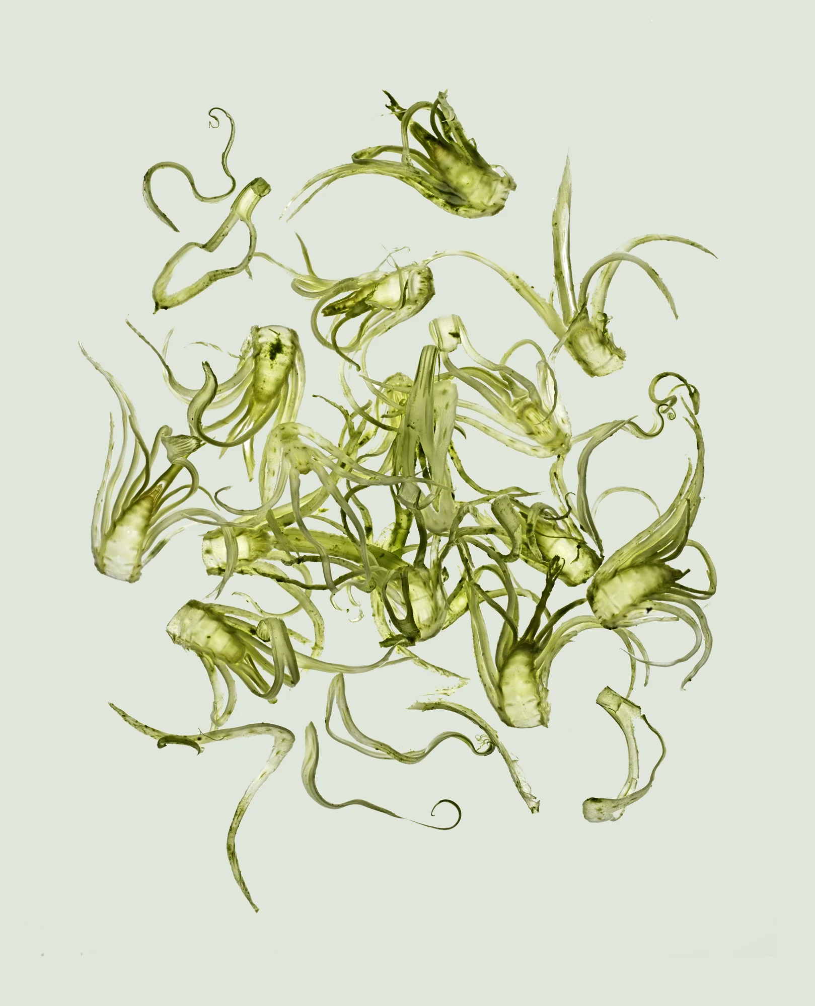 Final cut 3 (coming..)