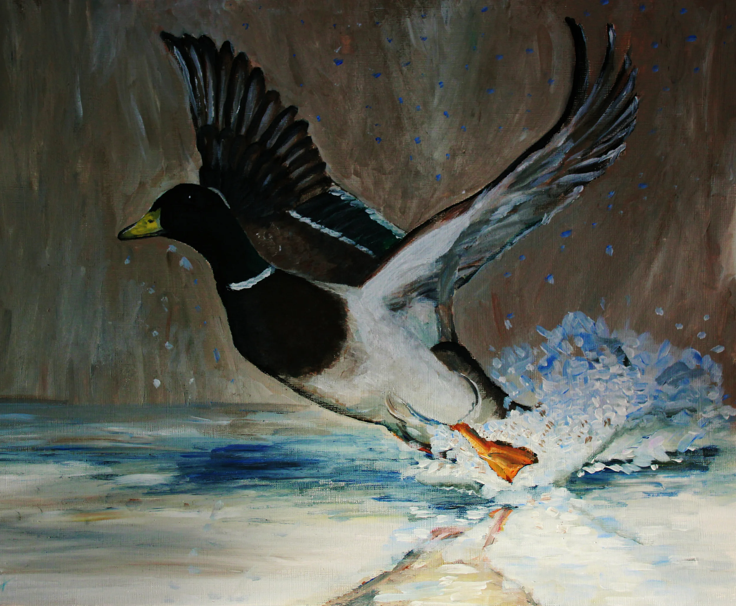 Flight
